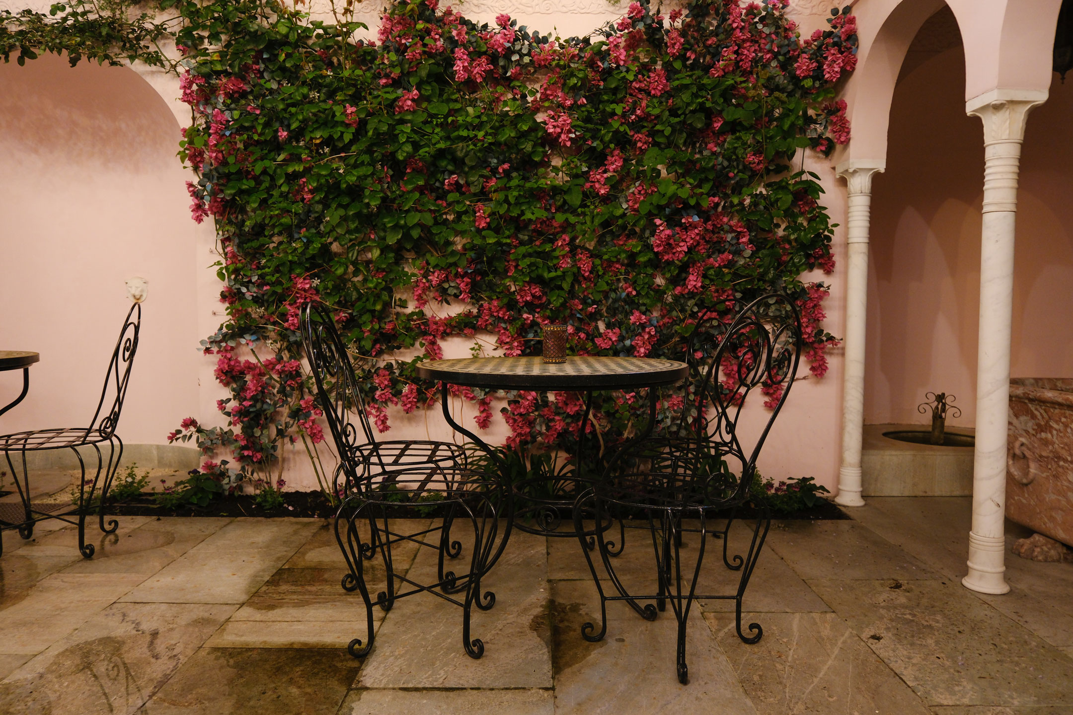 A photo of a patio table and chairs in front of pink climbing plants, by  Amy Moore with a Fujifilm X-T50