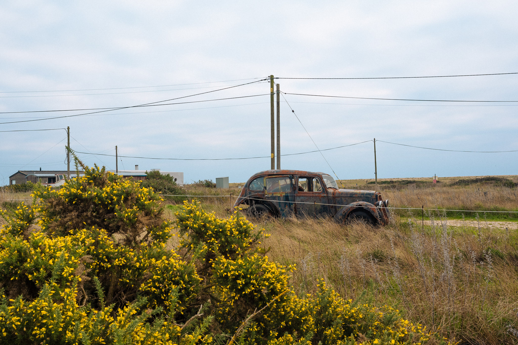 Abandoned vintage car in a field framed by yellow gorse flowers and telephone poles, by Jakub Golis. 
