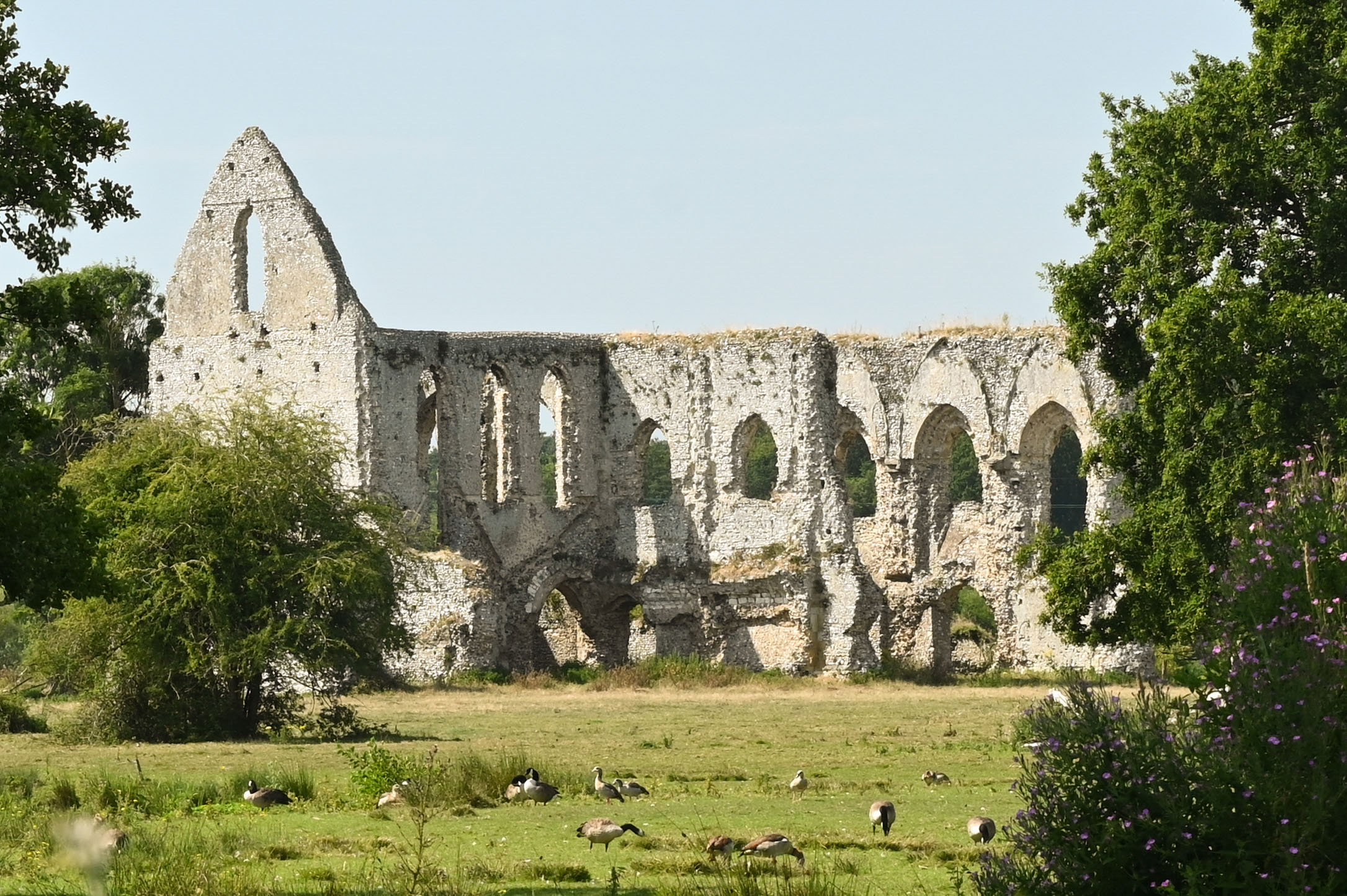 Nikon Z7 II CROPPED IN 