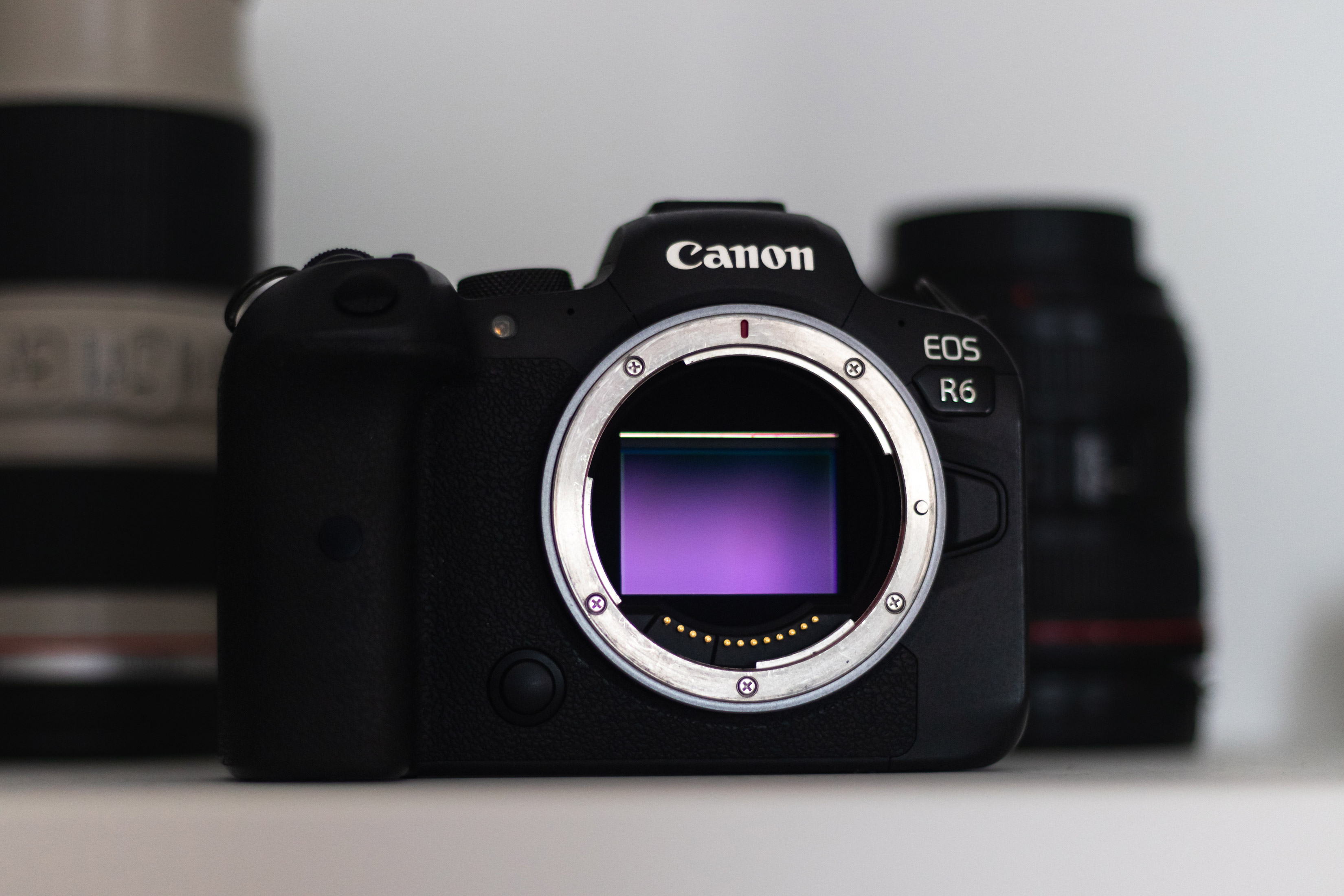 A purple reflection on the mirrorless sensor of a Canon EOS R6, surrounded by two Canon lenses against a white background  
