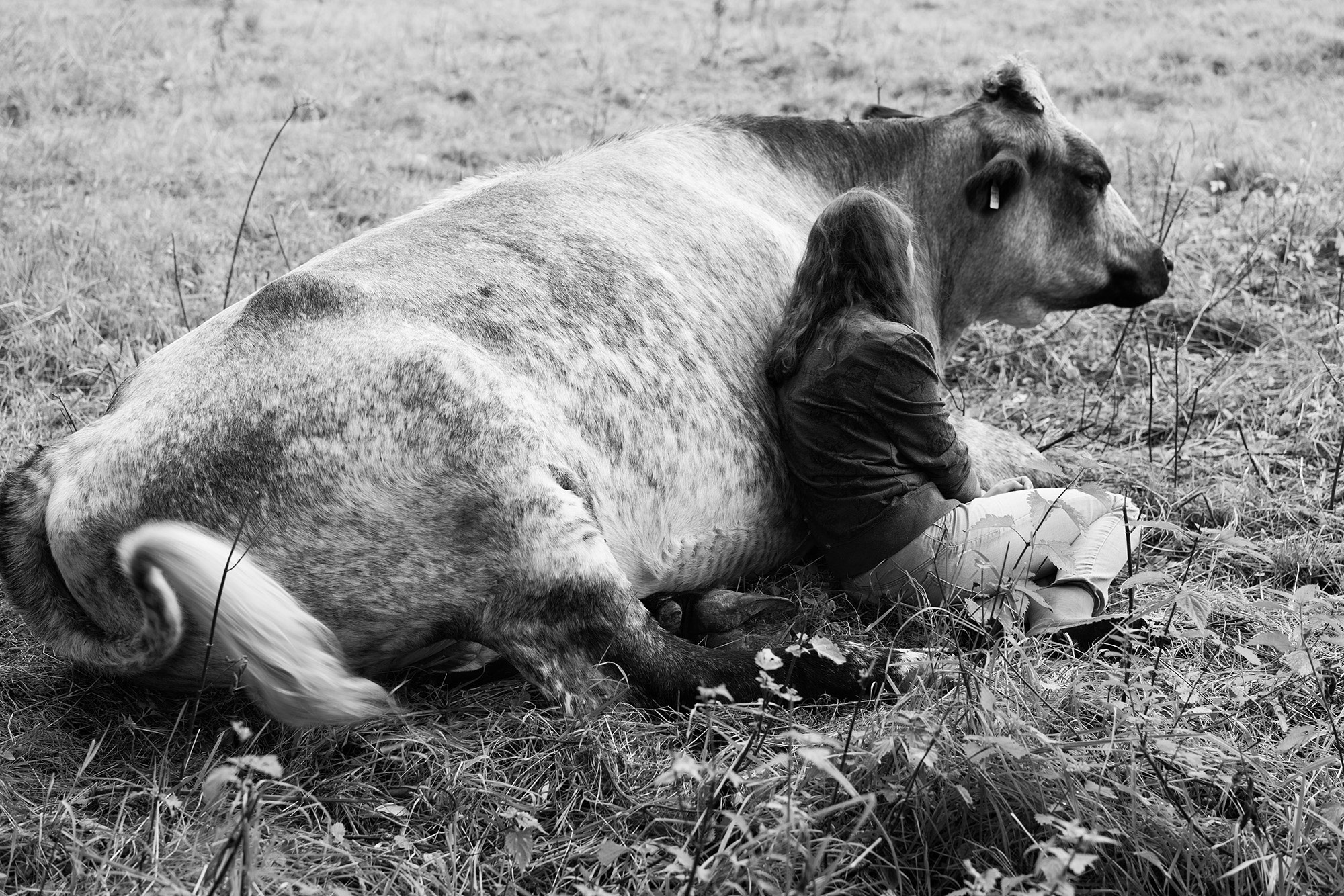 An expressive black-and-white photo of a person and a cow sitting together in a field.