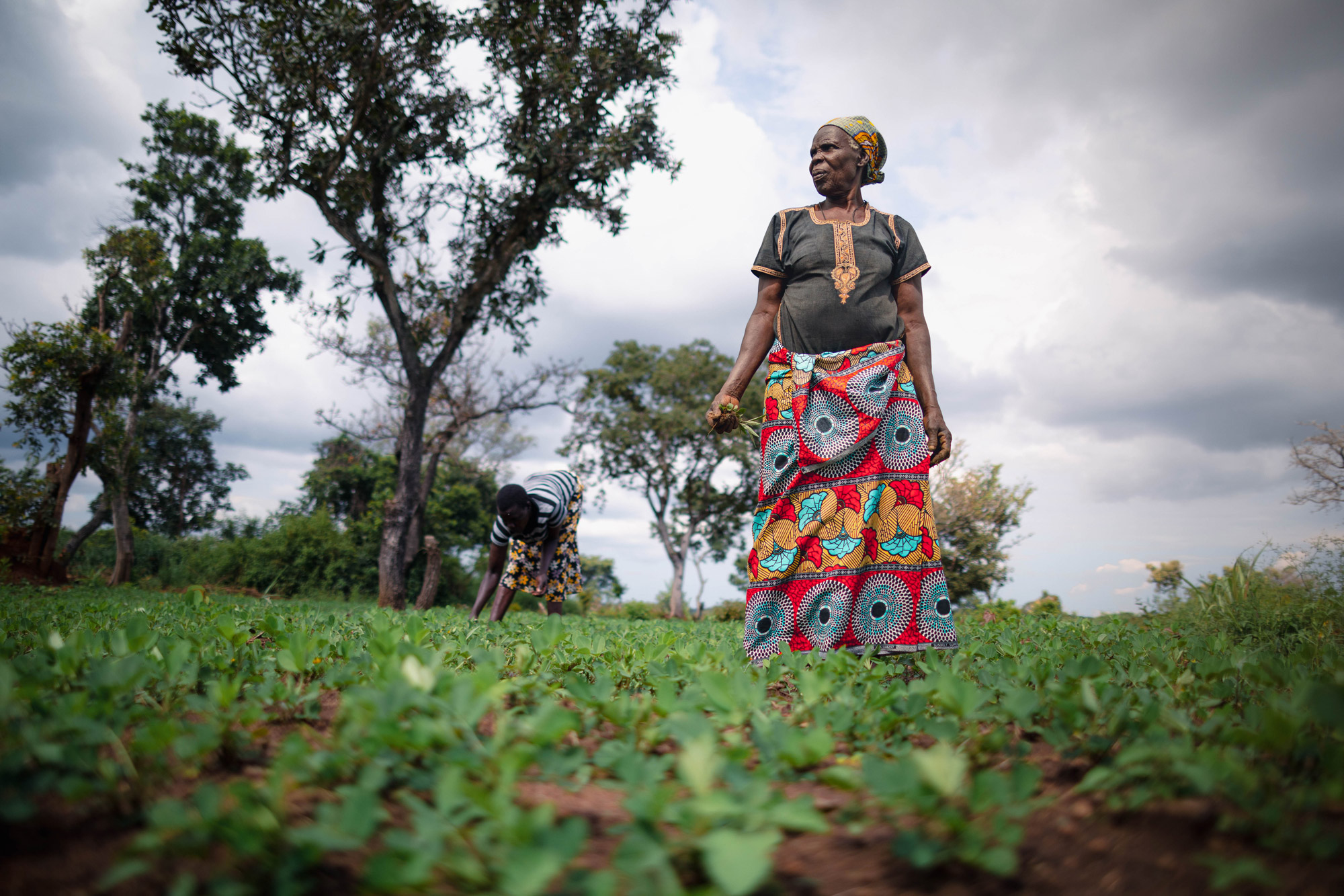 Un membre du projet Agriculture et nutrition de l'Action sanitaire Espoir, photo prise par Thomas Williams avec un Canon EOS 5D Mark IV.