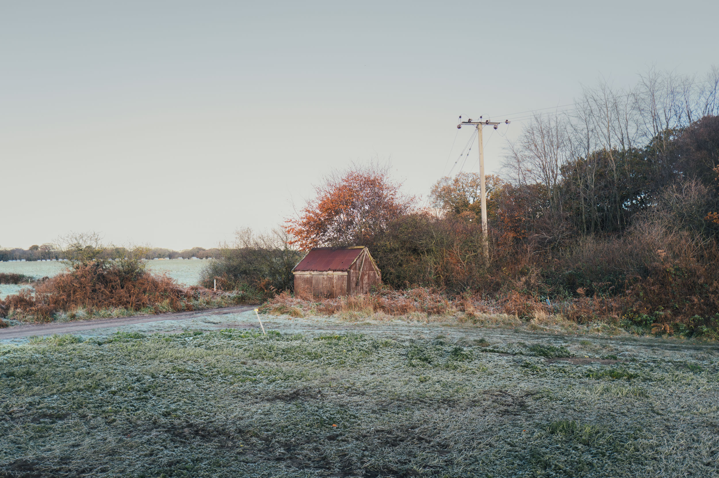 A frosty scene of a lone dilapidated shed and an electricity pole