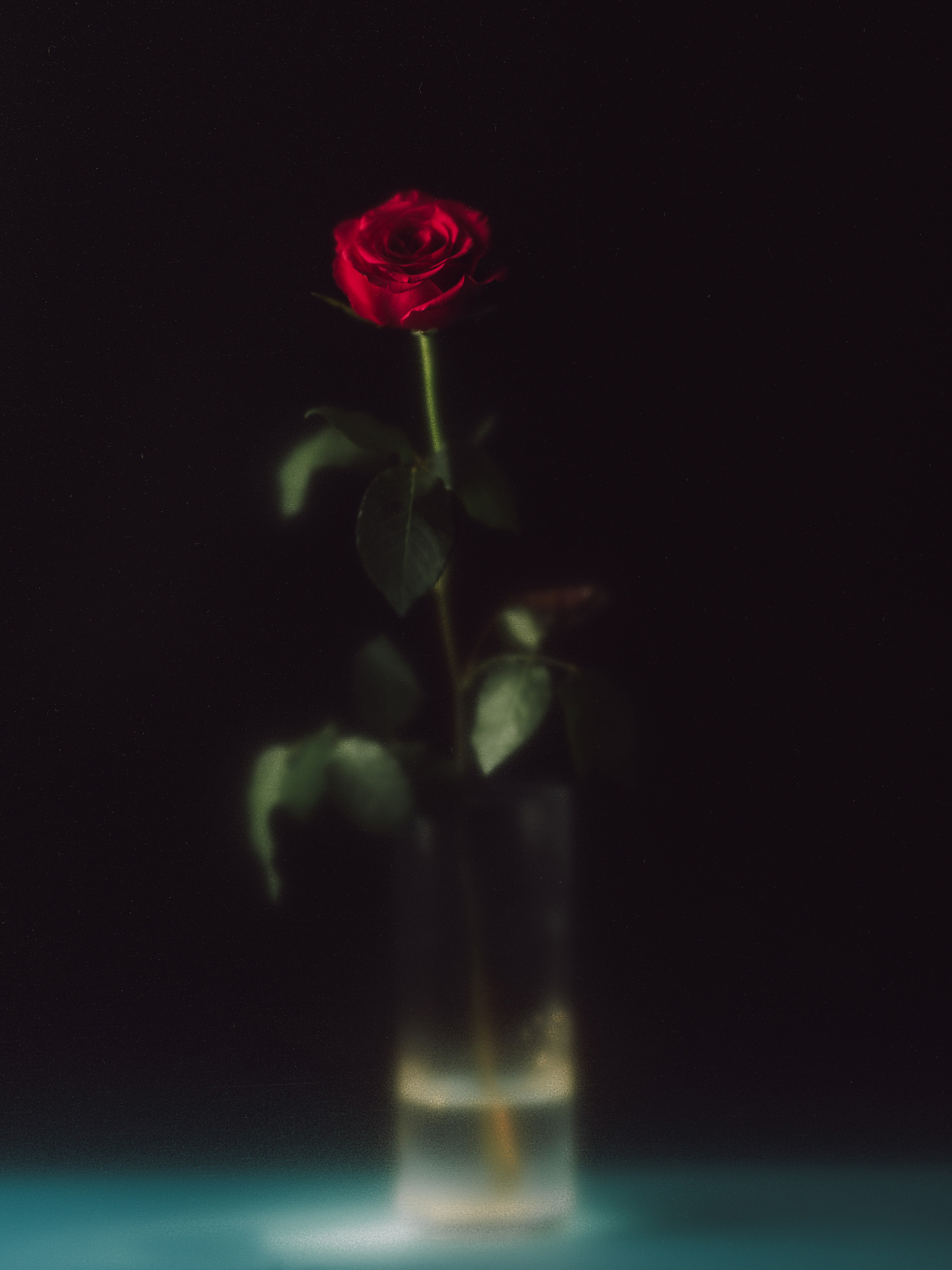 Red rose in a vase with a black background on a blue table