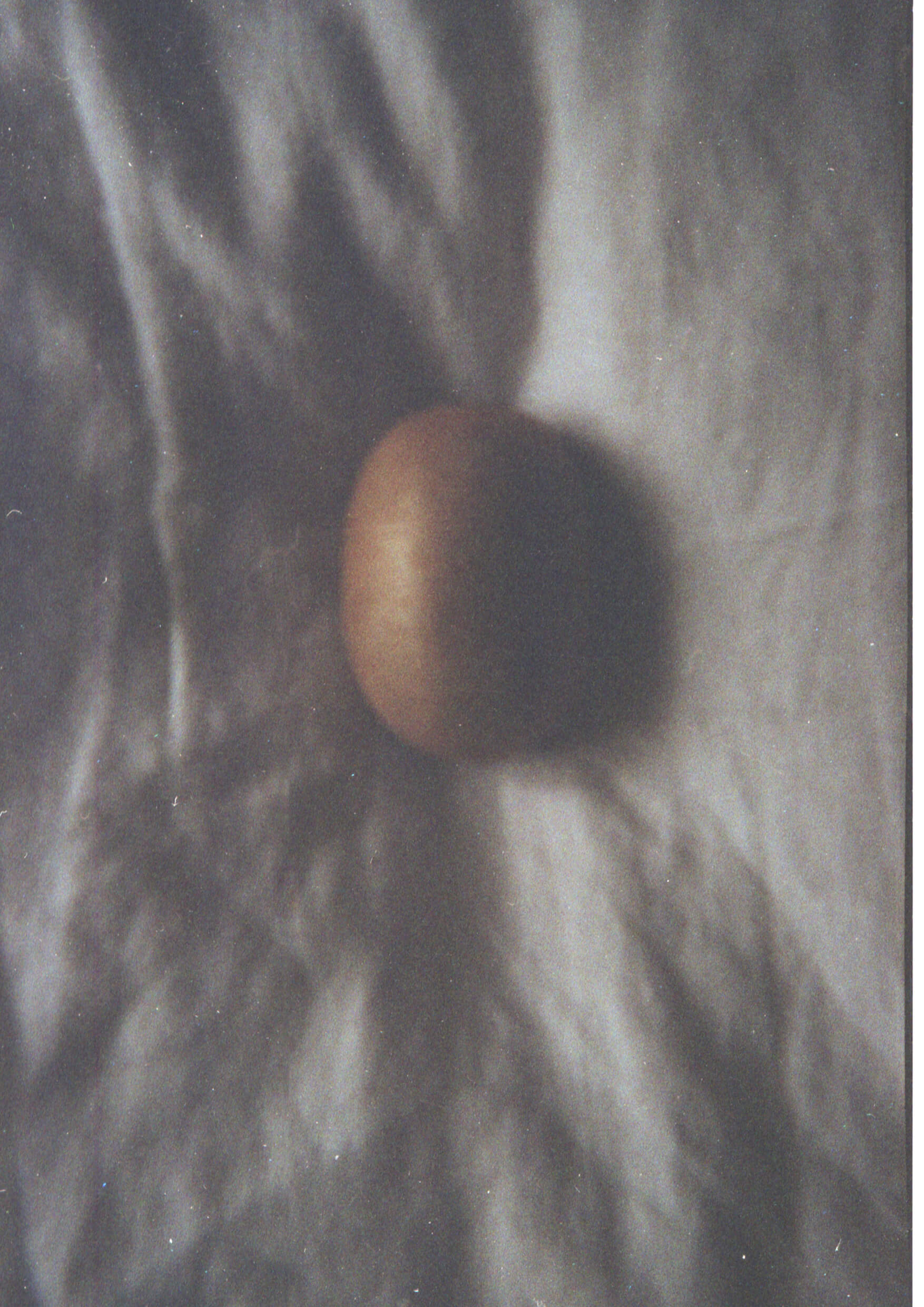 Bild aus der Vogelperspektive von einer Kiwi auf einer Bettdecke.