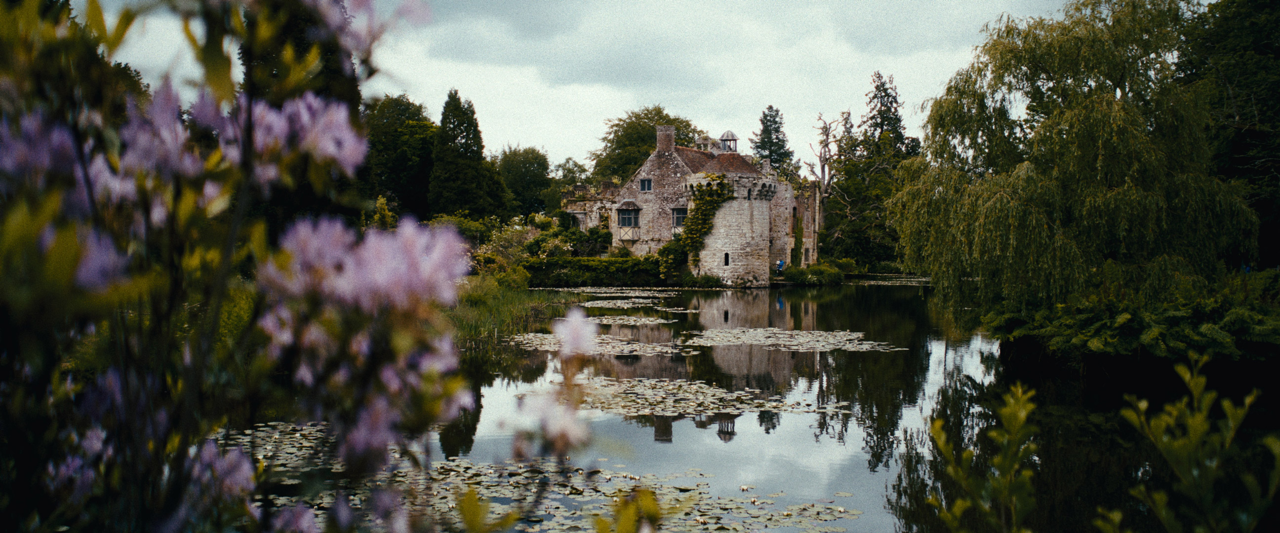 A house surrounded by a pond, plants and trees, photo by Jakub Golis