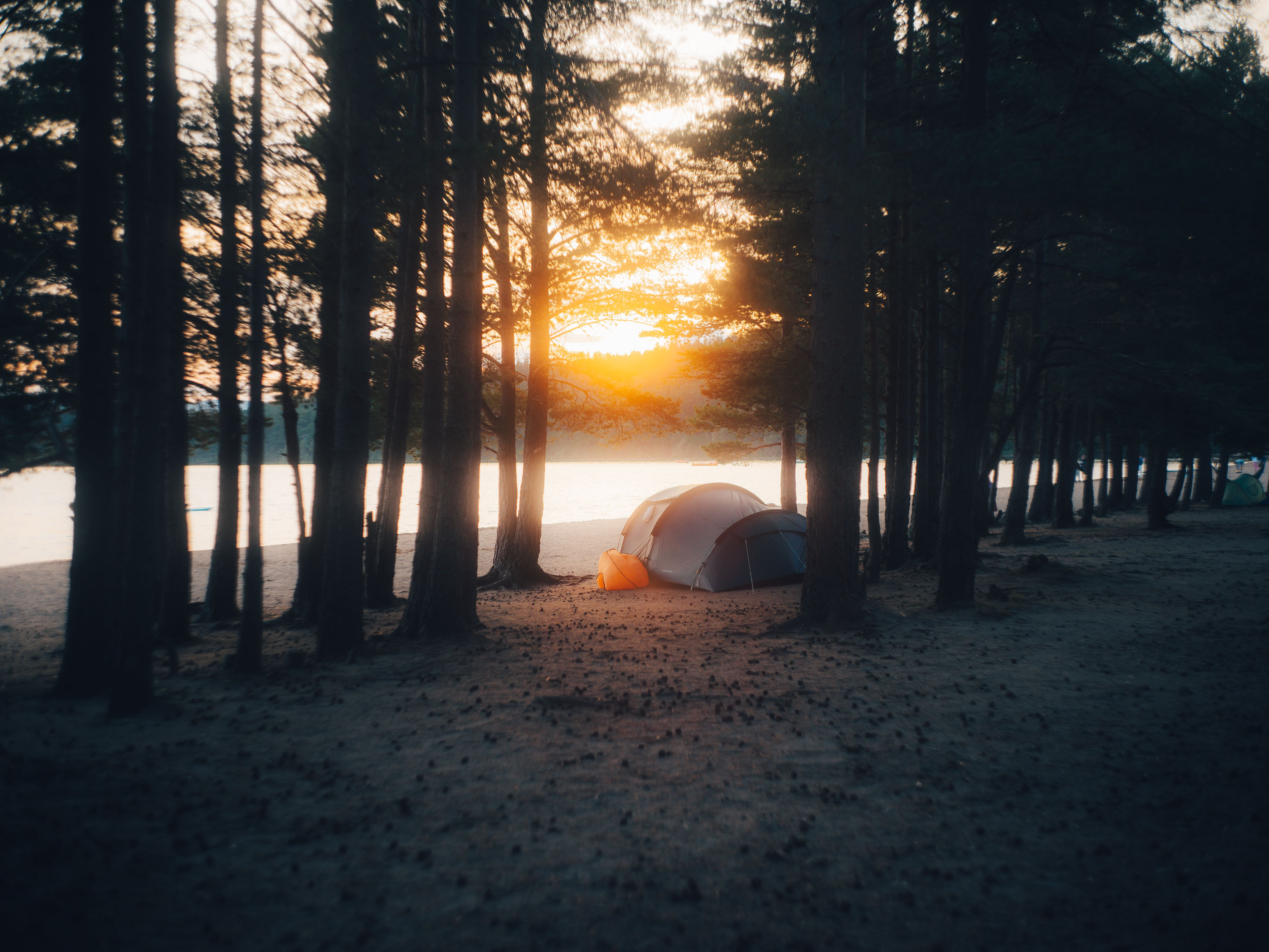 A tent pitched up inside a small wooded area by a lake front in Scotland. Taken on the Fujifilm GFX 50R by Ian Howorth. 