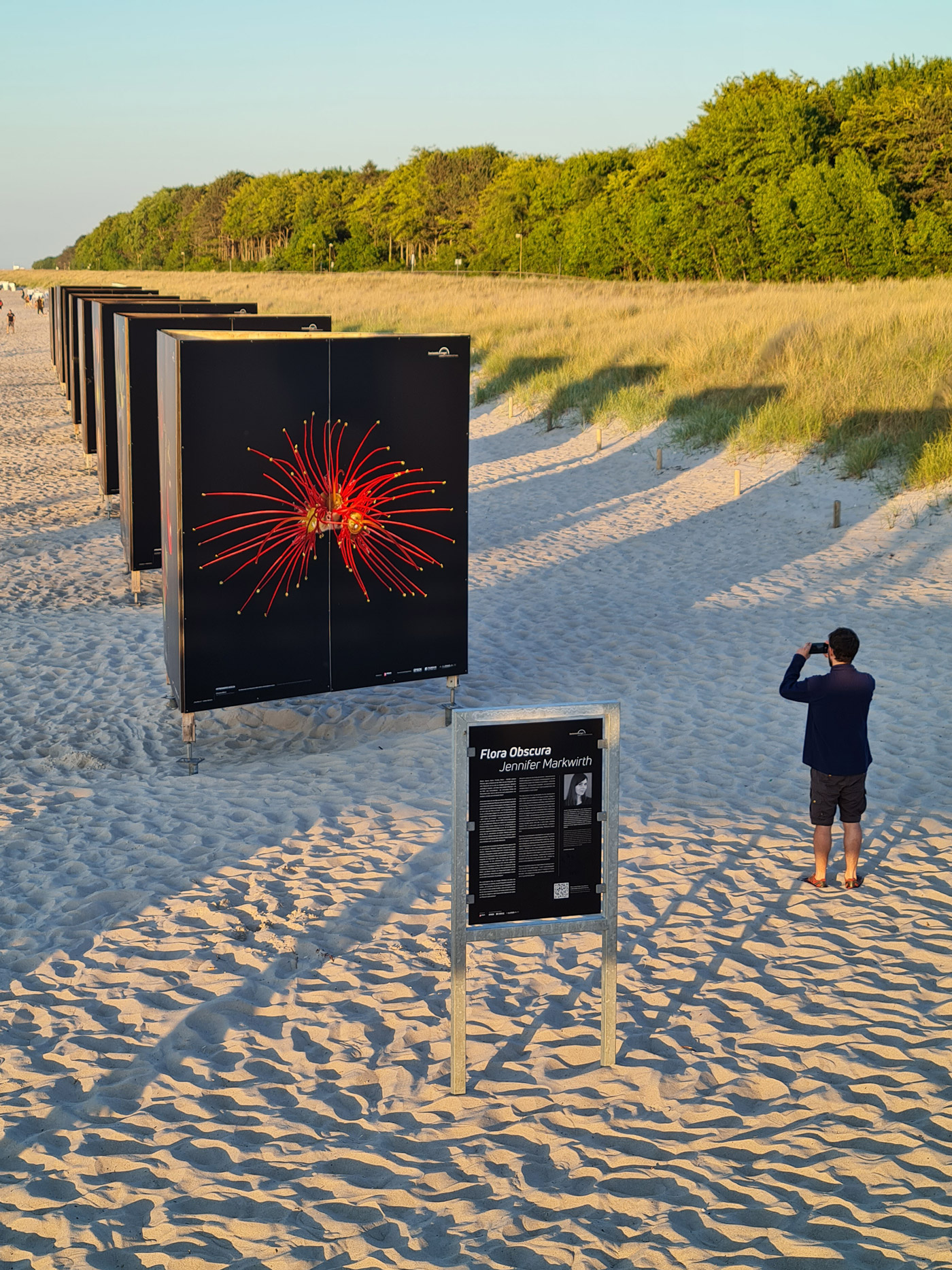 Mann am Strand in Zingst, der von der Ausstellung “Flora Obscura” ein Foto macht

