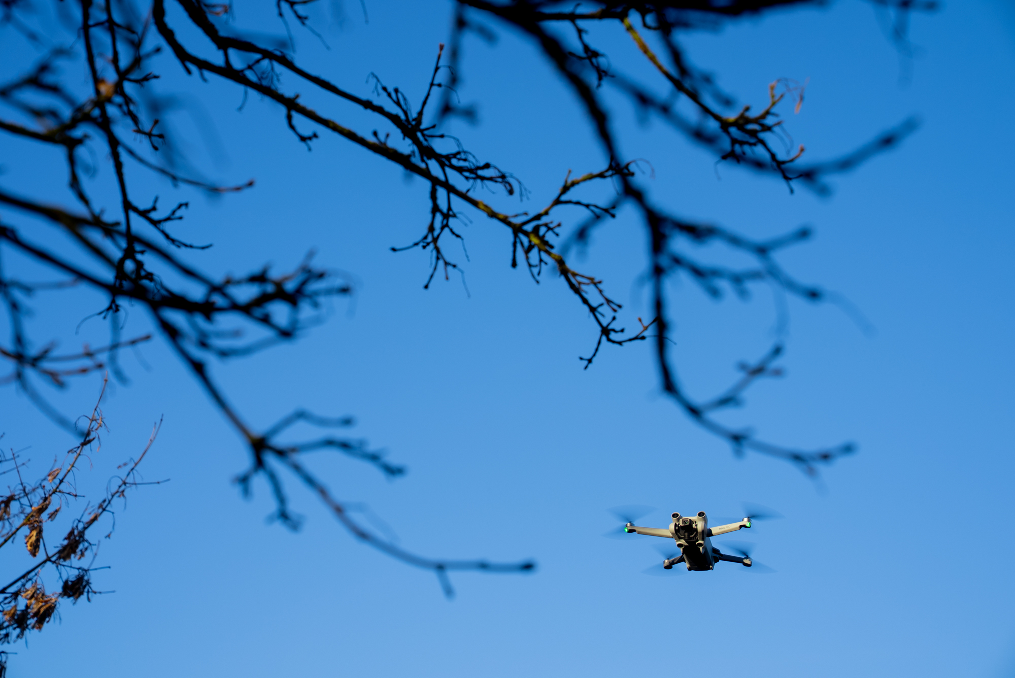 Eine DJI Mini 3 Pro-Kameradrohne fliegt unter klarem blauem Himmel auf kahle Äste zu. Aufgenommen von Joel Arias mit einer Sony FX3.
