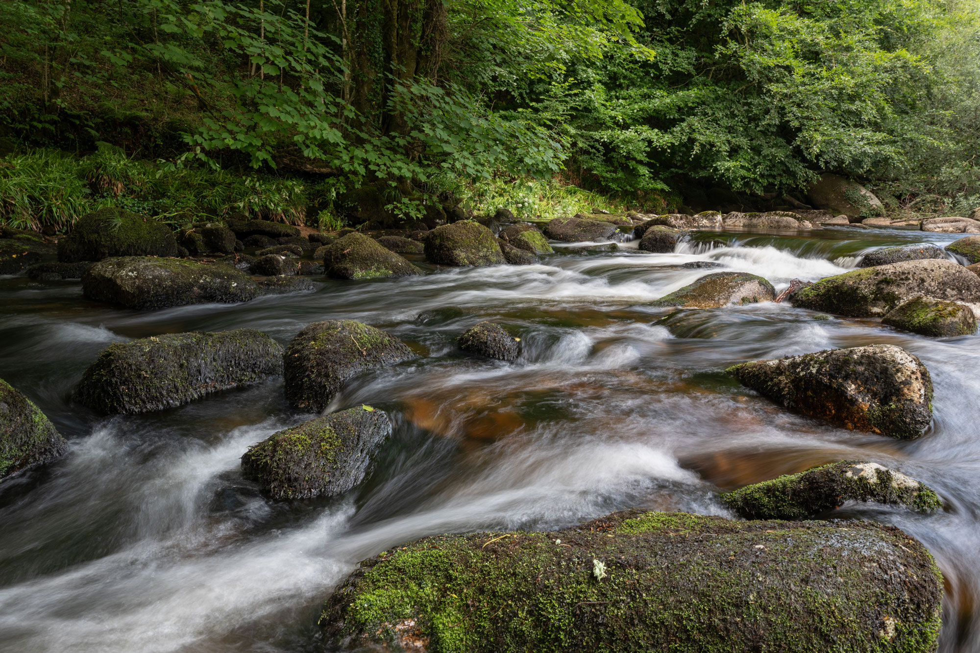 A fast-running stream, water captured moving quickly between rocks. Photo by Amy Moore with the Panasonic S1R II. 
