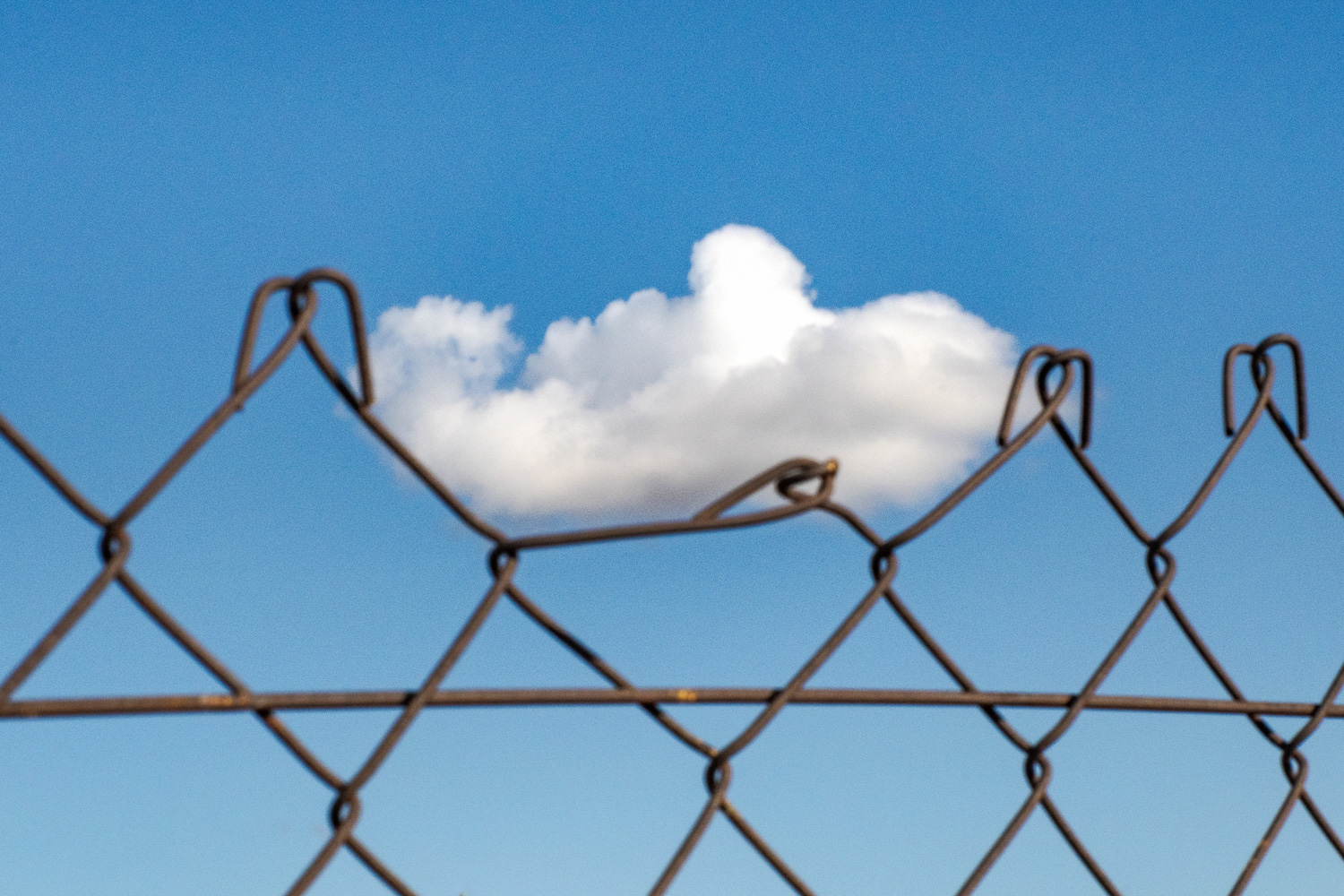 A cloud forms perfectly in the metal wires of a fence