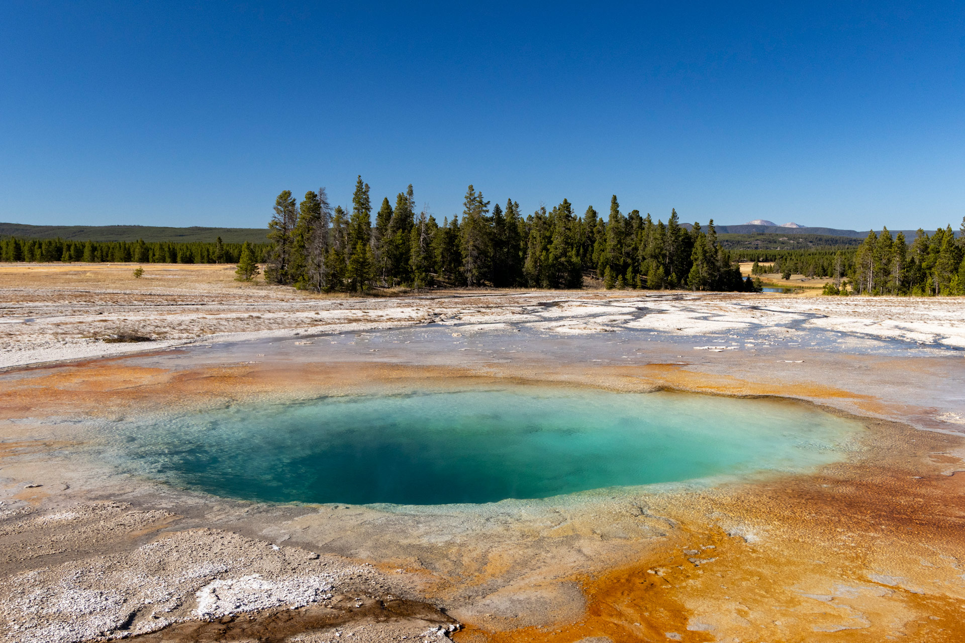 Foto der Grand Prismatic Springs im Yellowstone National Park in Wyoming, USA. Aufgenommen von Kristi Townsend mit einer Canon EOS R7.
