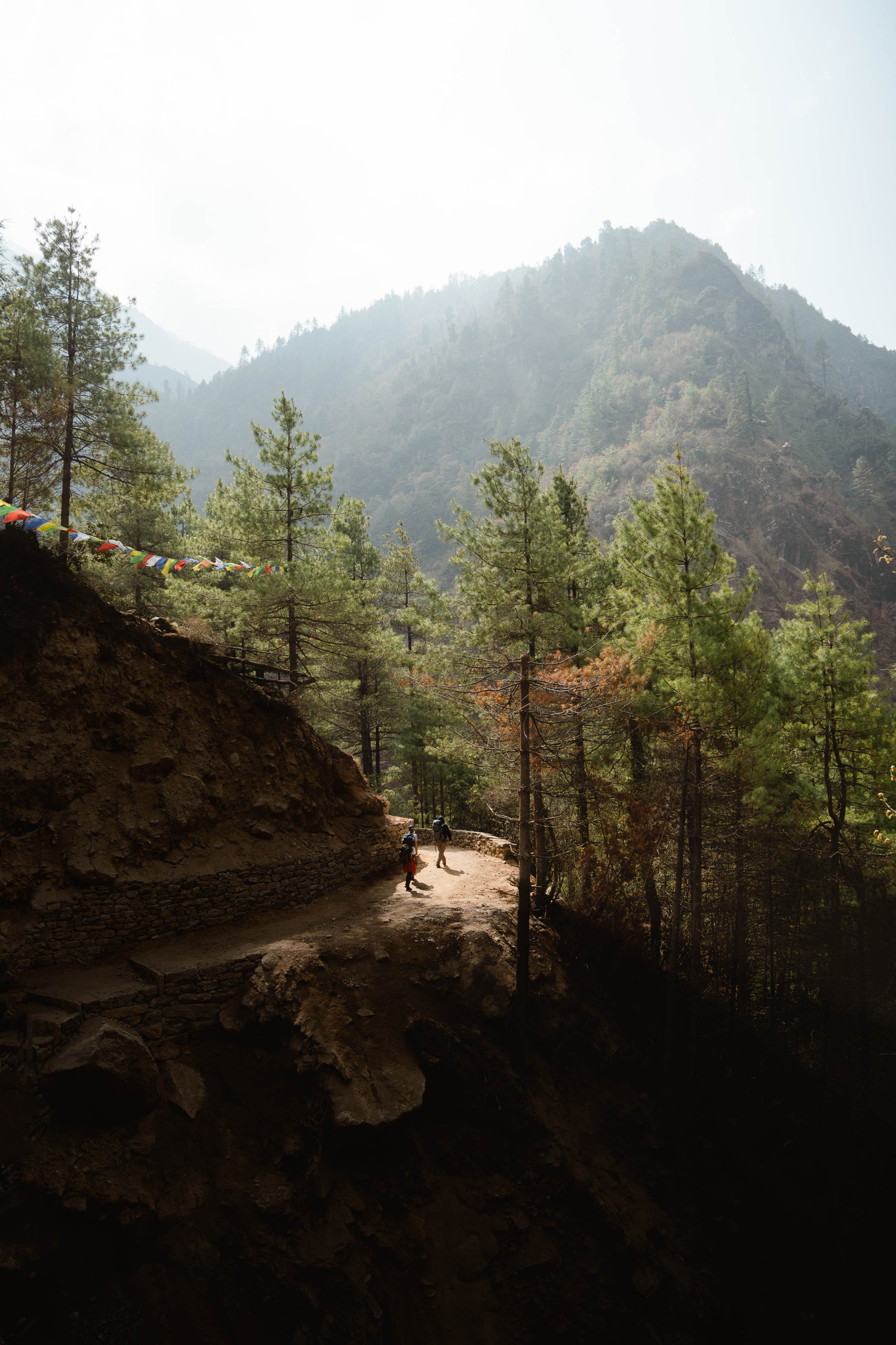 Three people walk on a dirt track surrounded by trees, with a mountain in the background, shot by Jack Anstey with the Sony A7 IV and the Sony FE 24-70mm f/2.8 GM.
