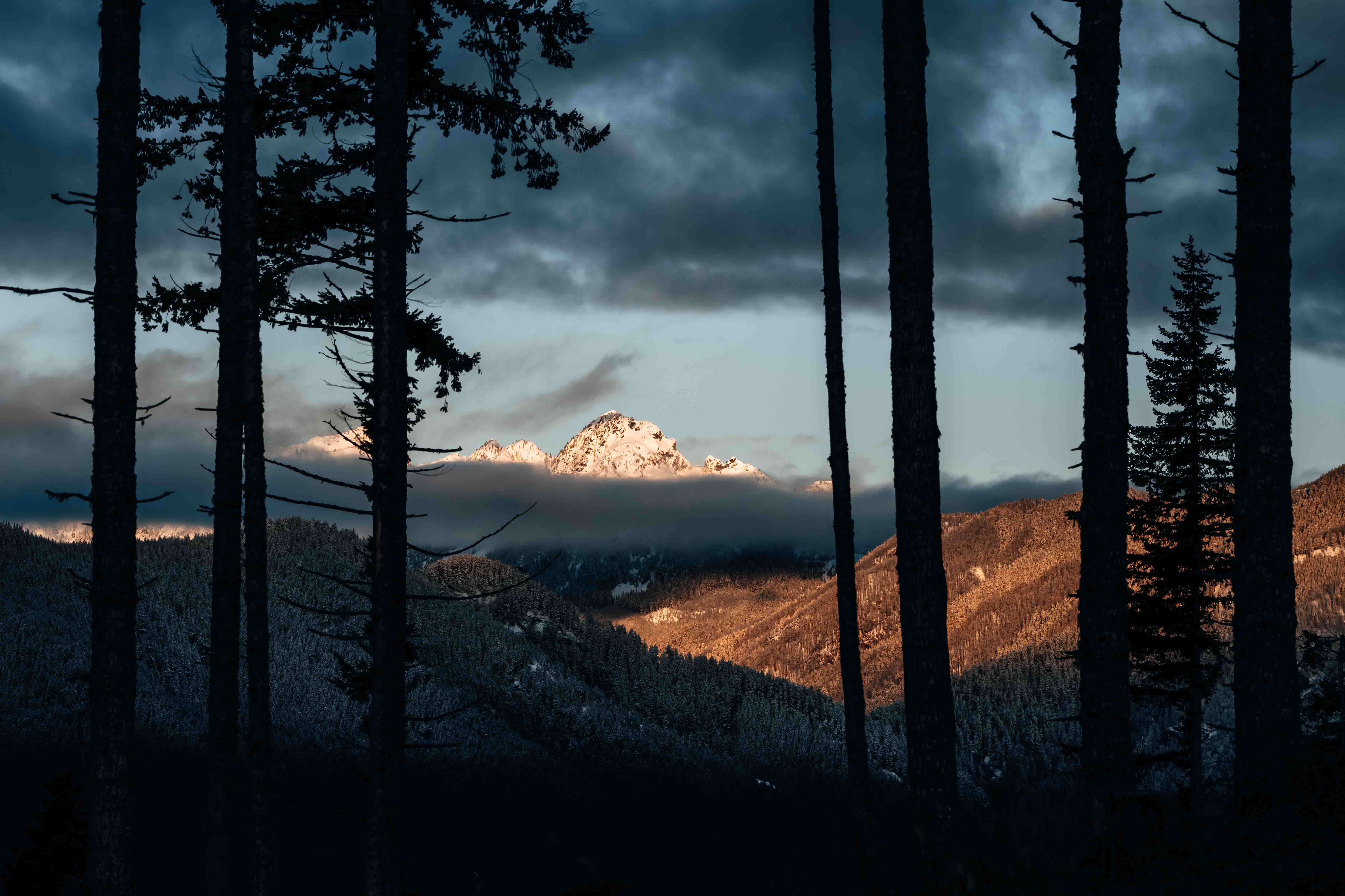 View of a mountain peak and trees at sunset in Olympic National Park in the Pacific Northwest
Jude Allen | Sony A1 | f/8 | 104mm | 1/160 | ISO 100