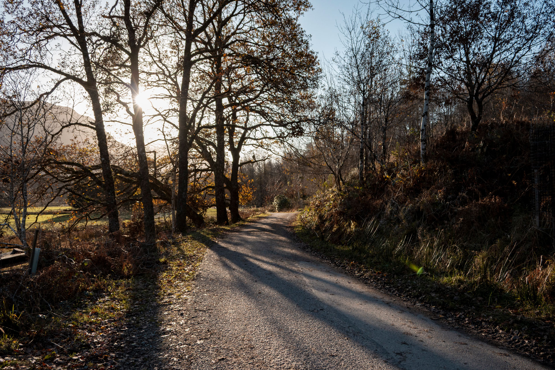 A pathway near the Glenfinnan Viaduct in Scotland on a sunny day in November, taken on a Canon PowerShot V1 by Kristi Townsend.