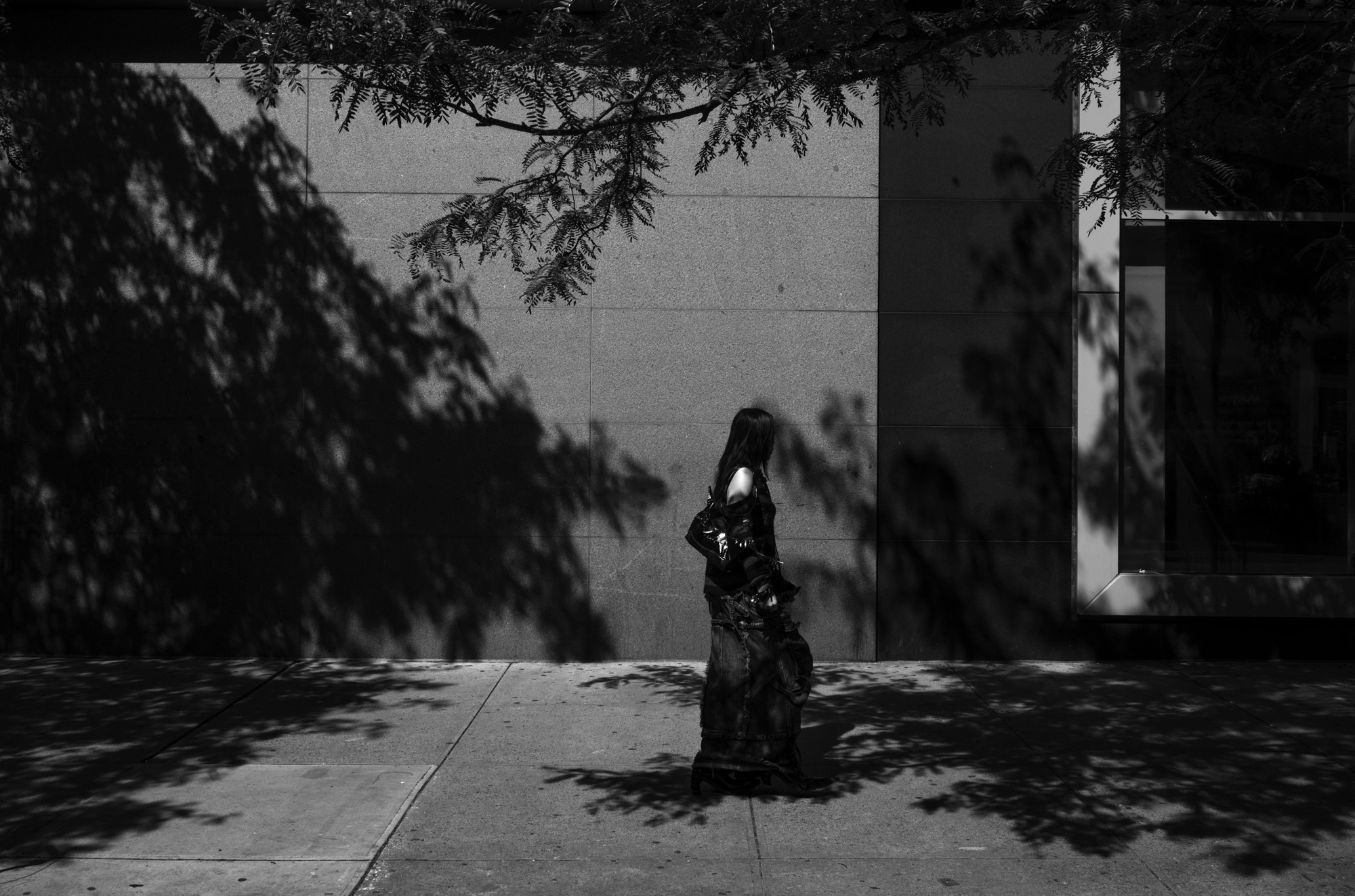 A black-and-white photo of a person walking by a wall with a tree shadow cast against it