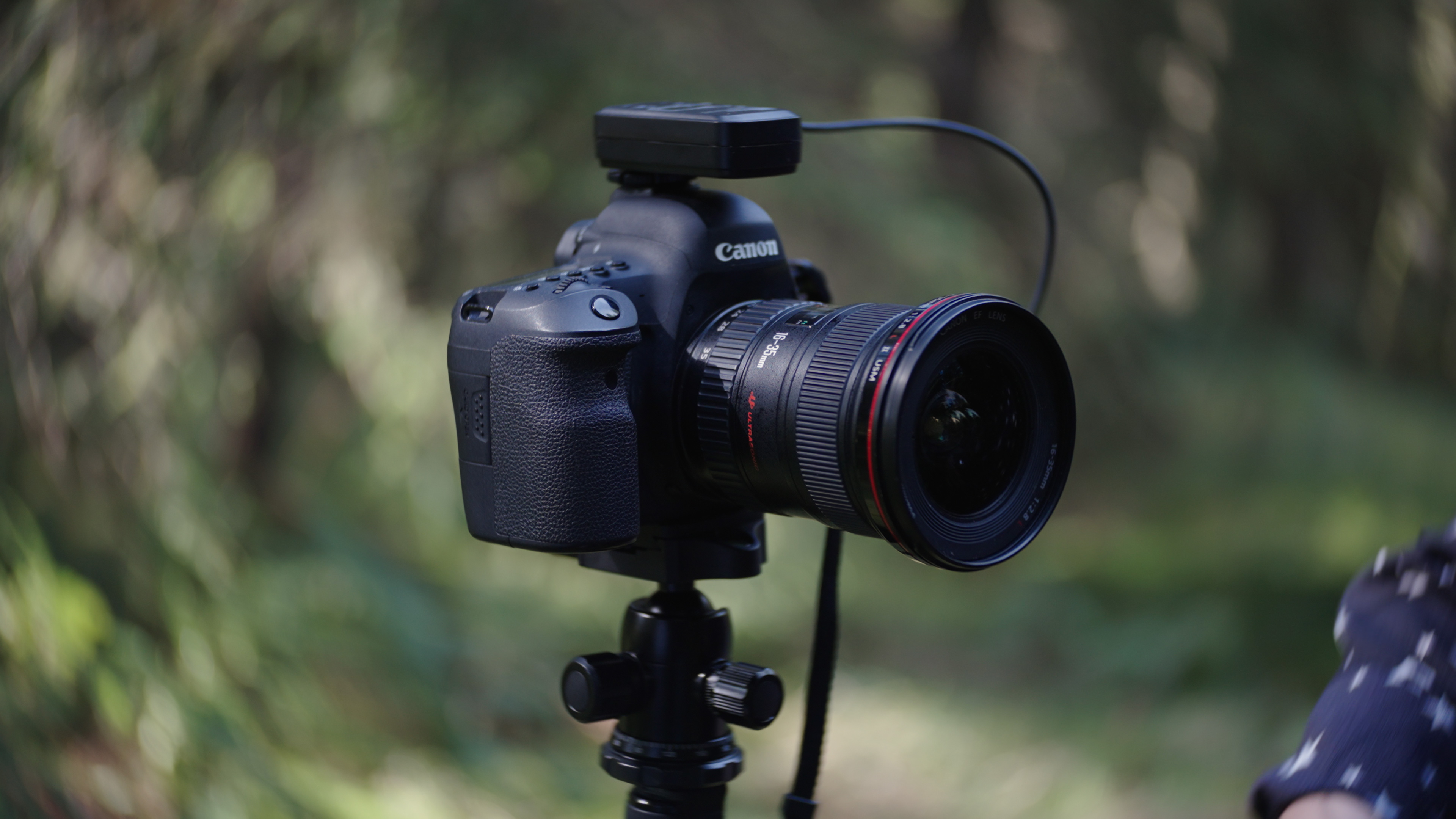Tweedehands Canon EOS 5D Mark IV op statief in het bos