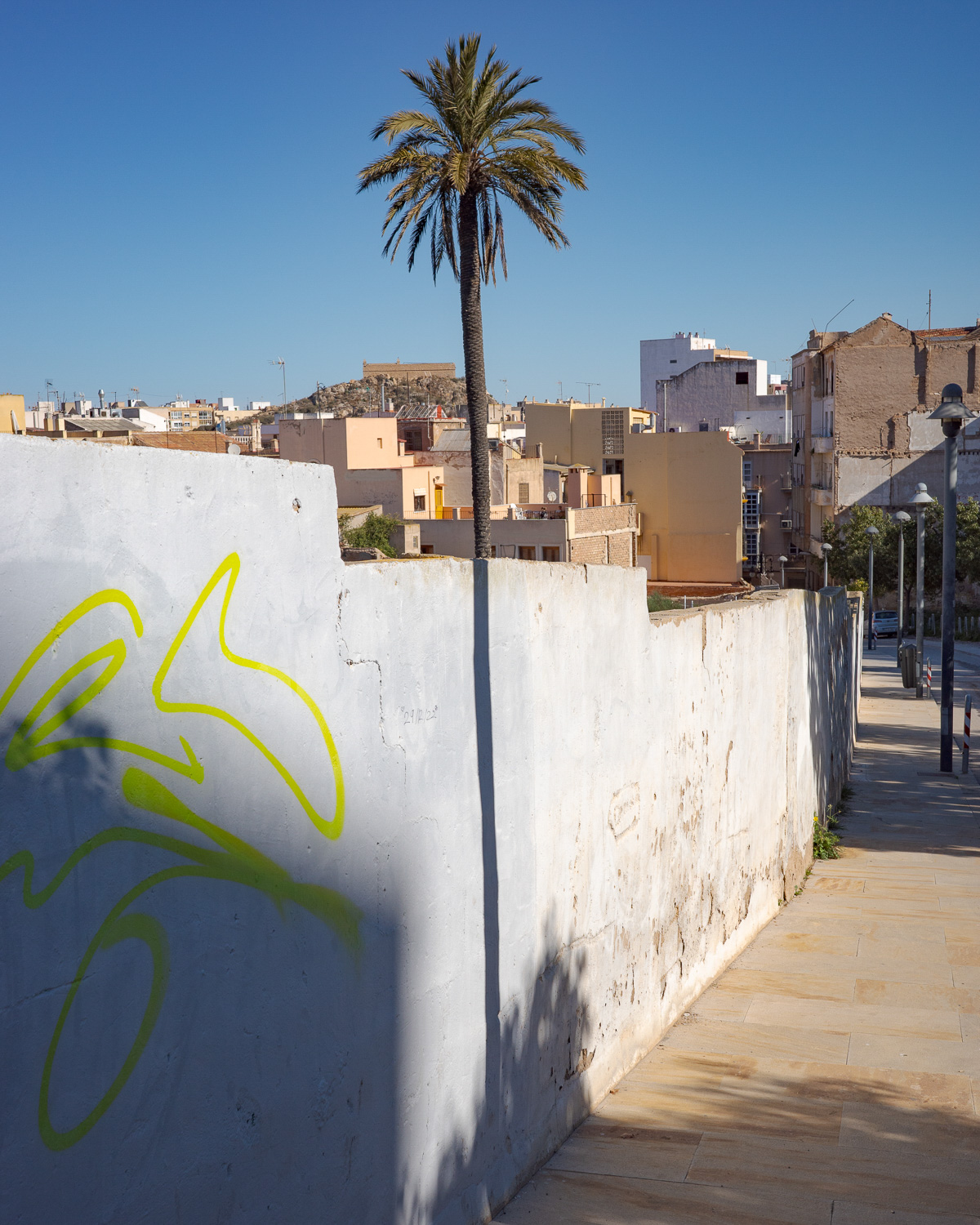 Eine Palme hinter einer Mauer bildet eine perfekte Linie mit dem Schatten einer anderen Palme