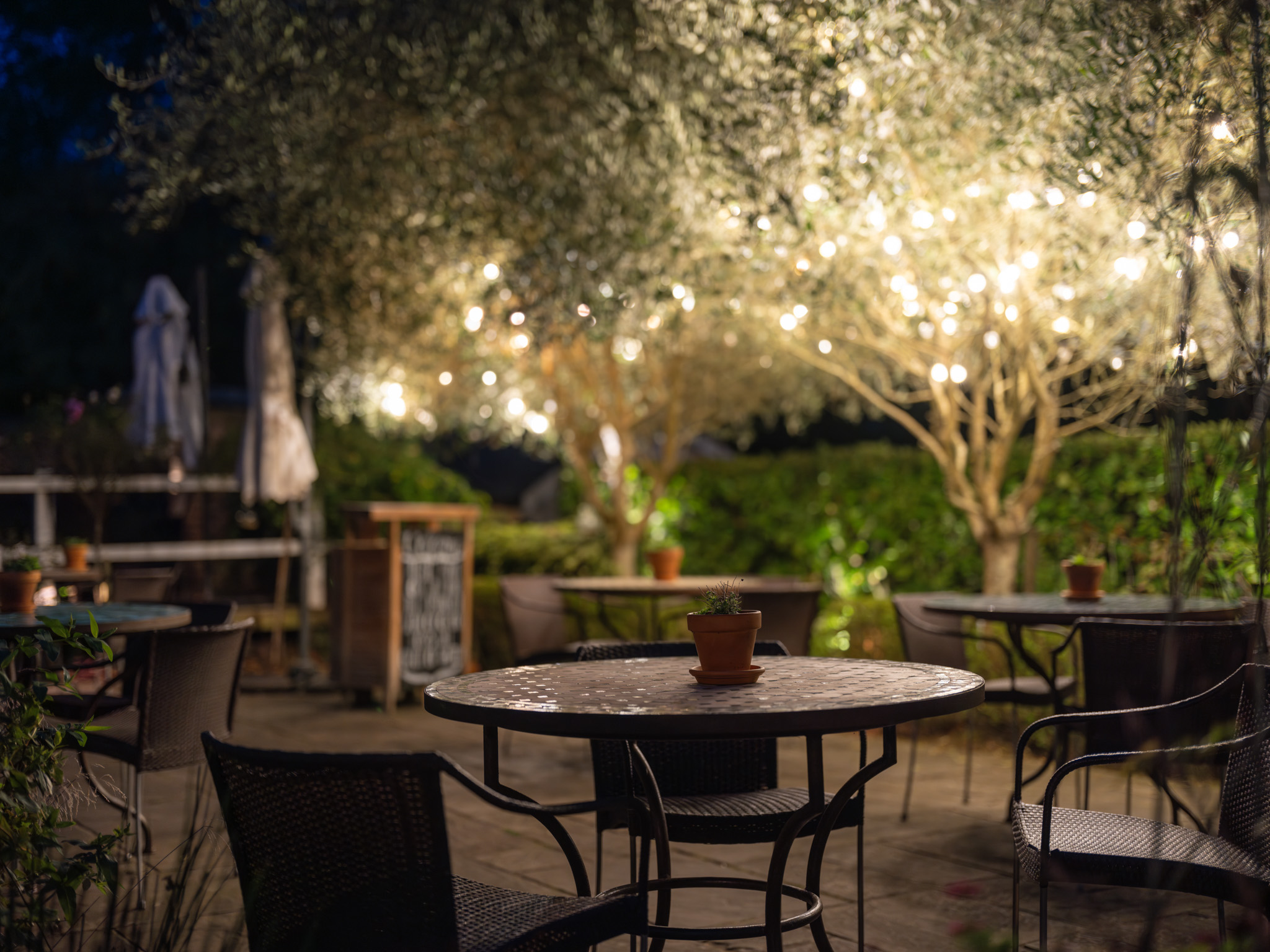 A courtyard at night lit by fairy lights in trees