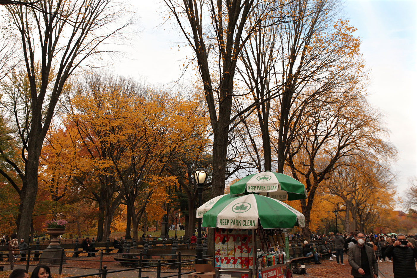 Image of the Mall in New York City’s Central Park during fall, photo by Berta Amelinaite.