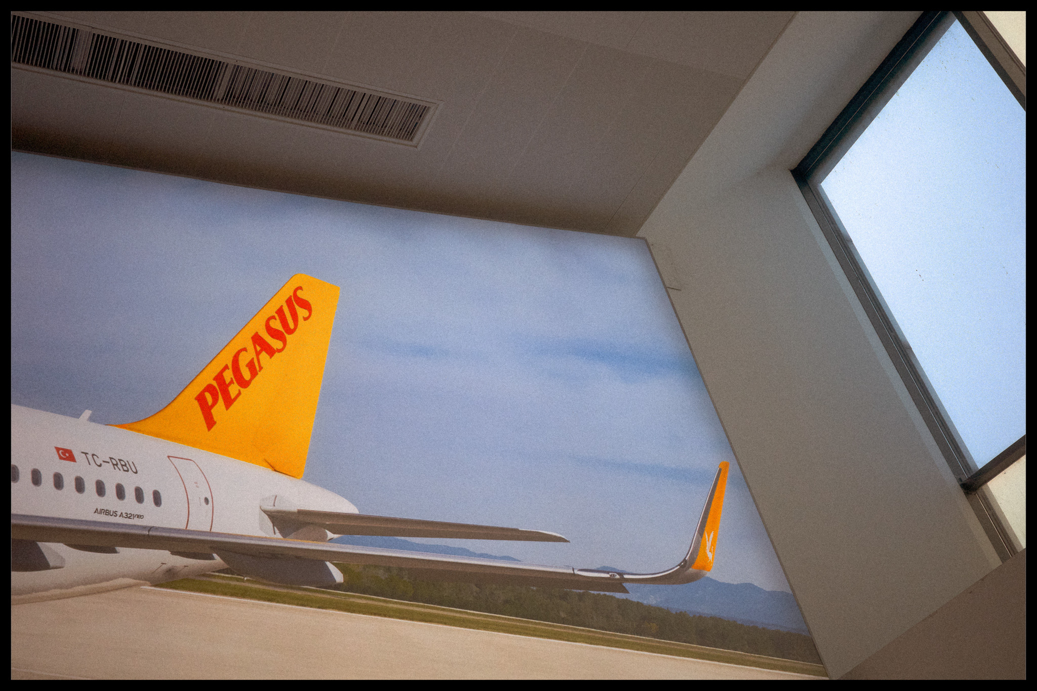 Ein Flugzeug auf einer Plakatwand mit der Aufschrift "Pegasus" auf dem Heckflügel, von Adam Hince