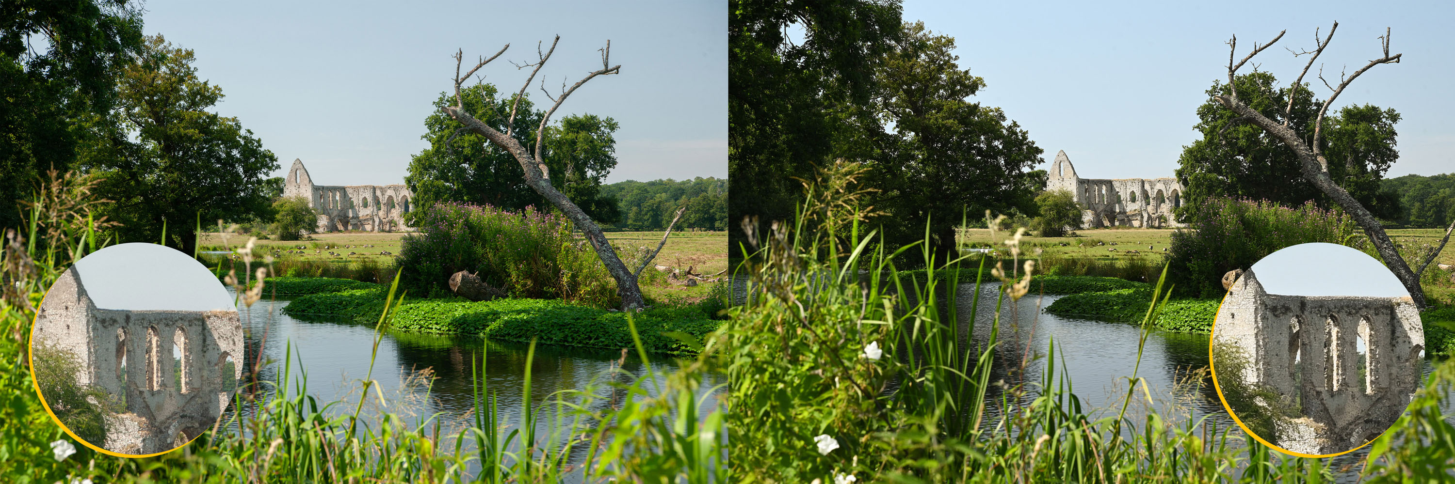 A composite of two images being compared for resolution in landscape orientation, one by the Nikon D700 which uses the ‘Super Resolution’ upscaling technique from Photoshop, and one image by the Nikon Z7 II.