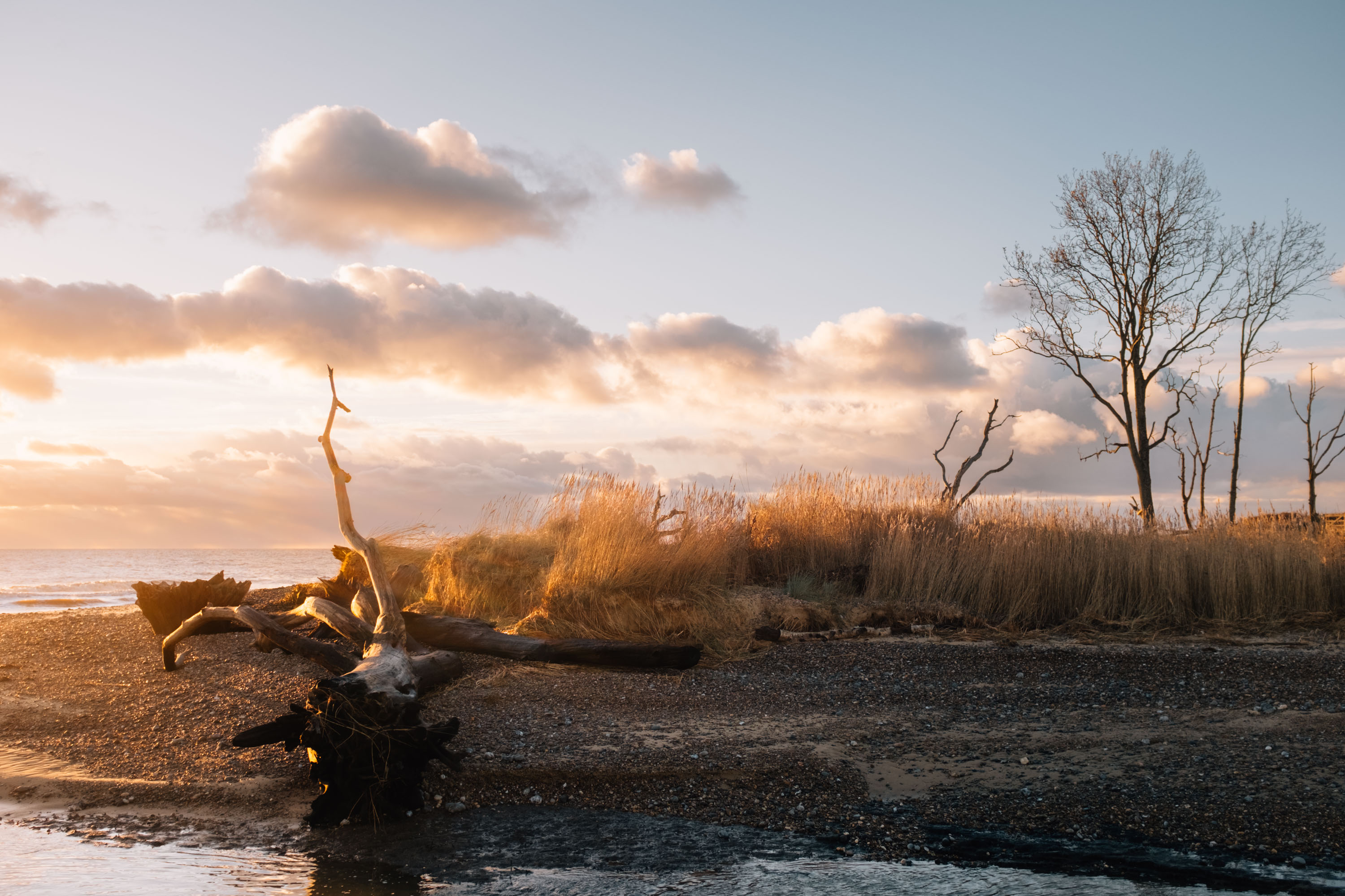 A norfolk beach at sunset with some driftwood in the foreground. By Ian Howorth.