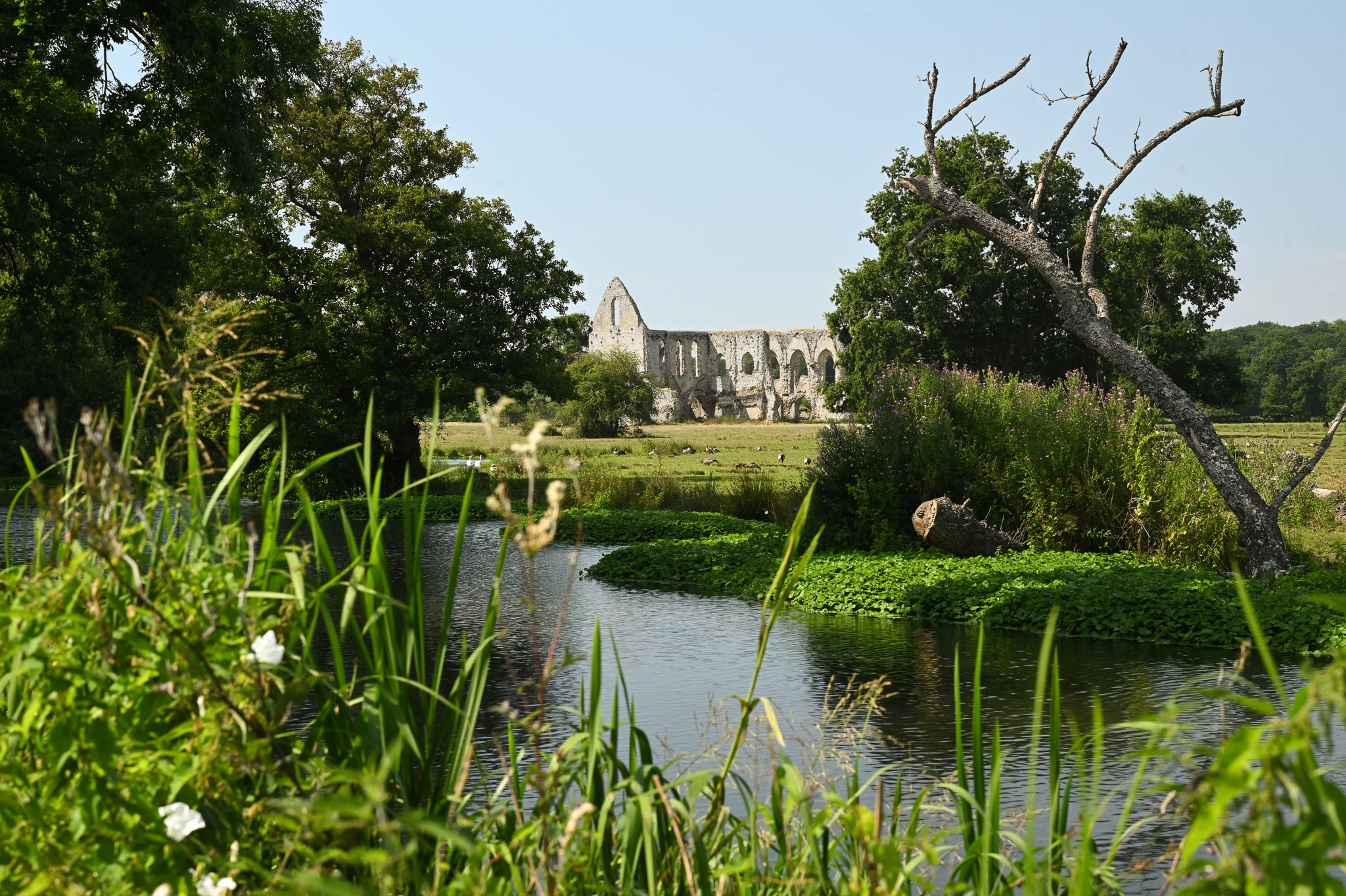 Nikon Z7 II resolution test 