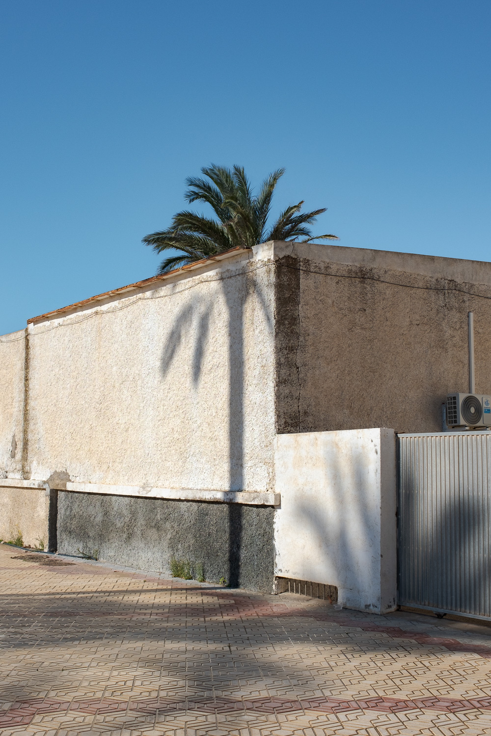 Eine Palme hinter einem Gebäude bildet eine perfekte Linie mit dem Schatten einer anderen Palme auf dem Gebäude