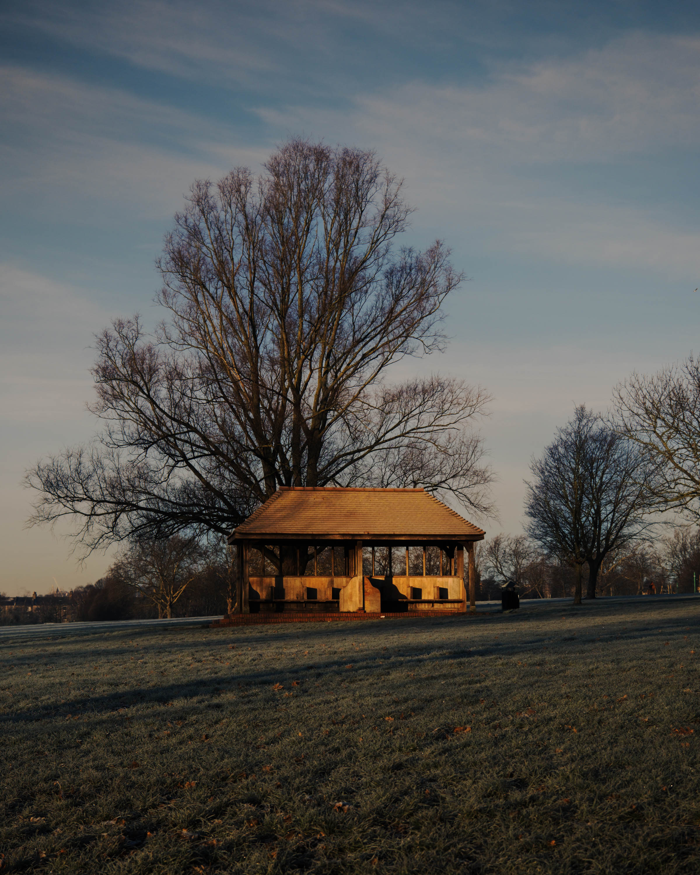 A shelter in a park surrounded by bare trees and frosty grass, shot with a Fujifilm X-T5