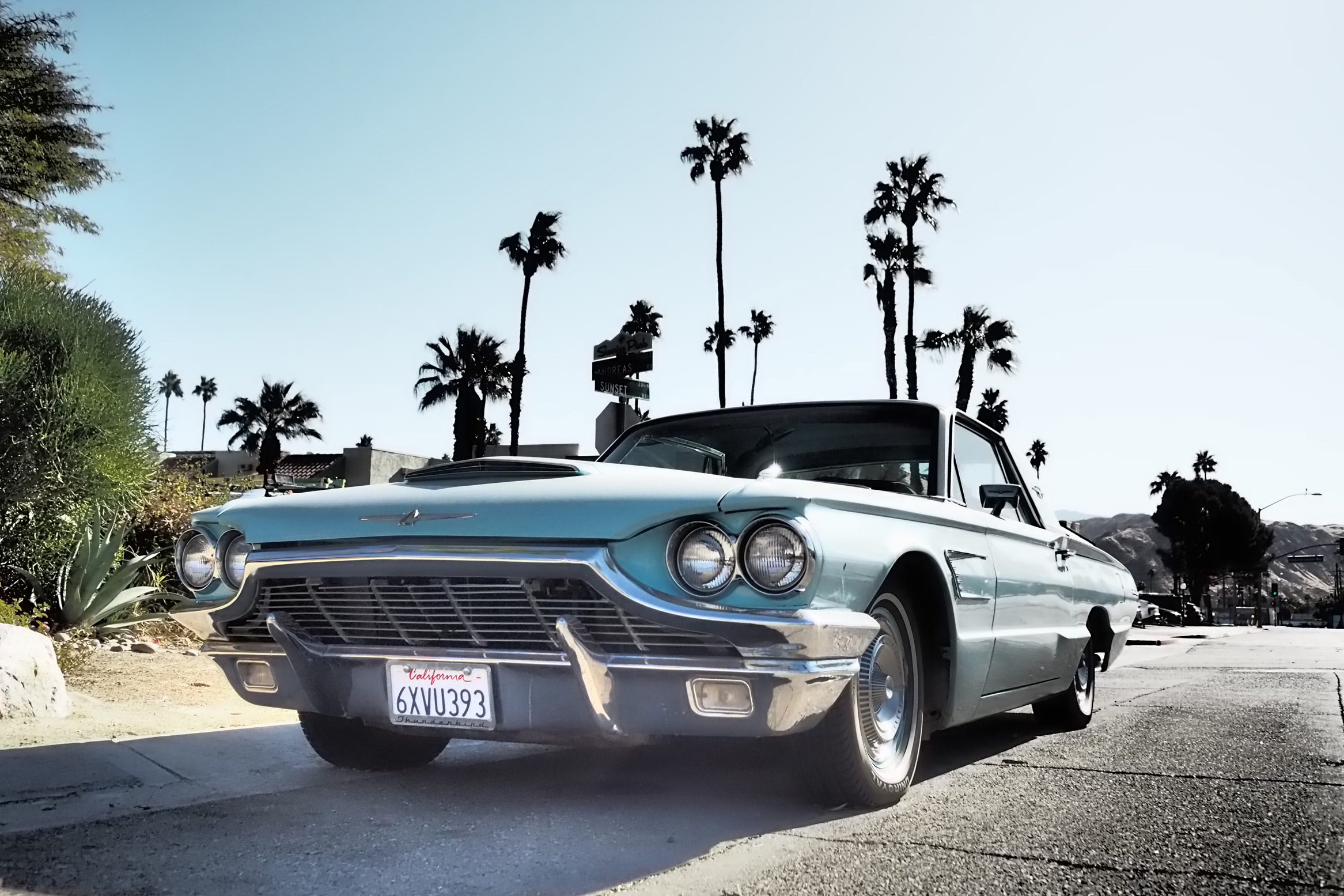 Oude schoolauto in Californië met palmbomen en een contrasterende achtergrond, gefotografeerd met een Olympus Pen-F door Justin Patricolo.