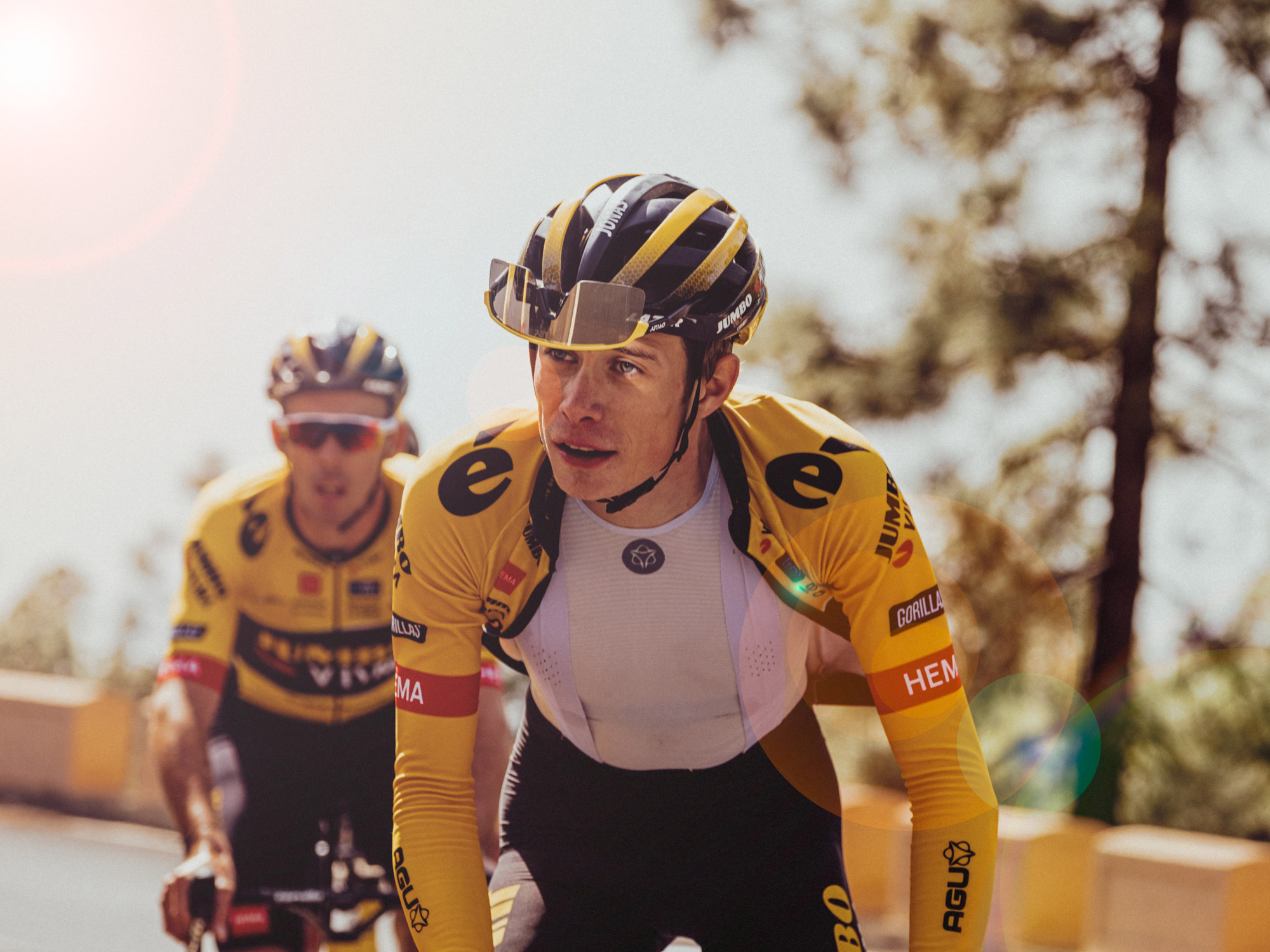 Deux coureurs de l’équipe Jumbo Visma, vêtus du maillot jaune emblématique de l’équipe, gravissent une côte lors d’une séance d’entraînement. Photo : Dan King, réalisée avec un Fujifilm X-Pro 3.