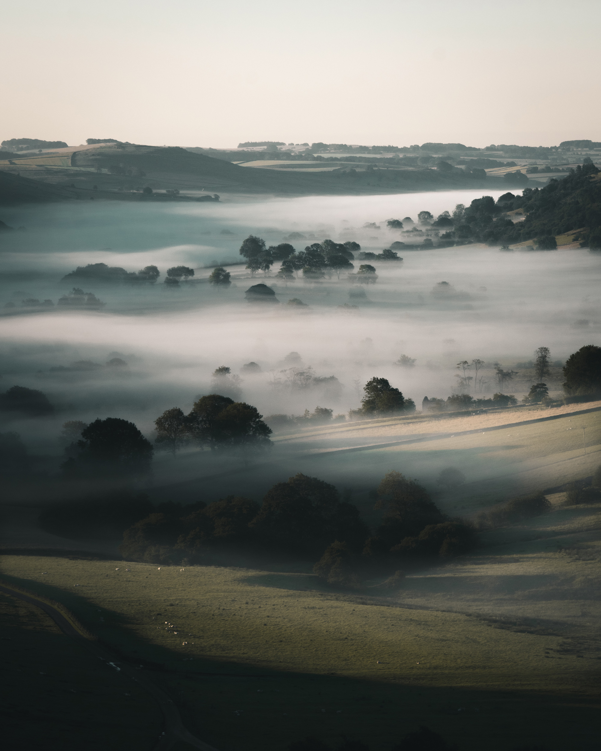 Rolling hills and trees appear out of the fog in England’s Peak District, shot on a Sony A7R III by Jordan Lancaster-Graham