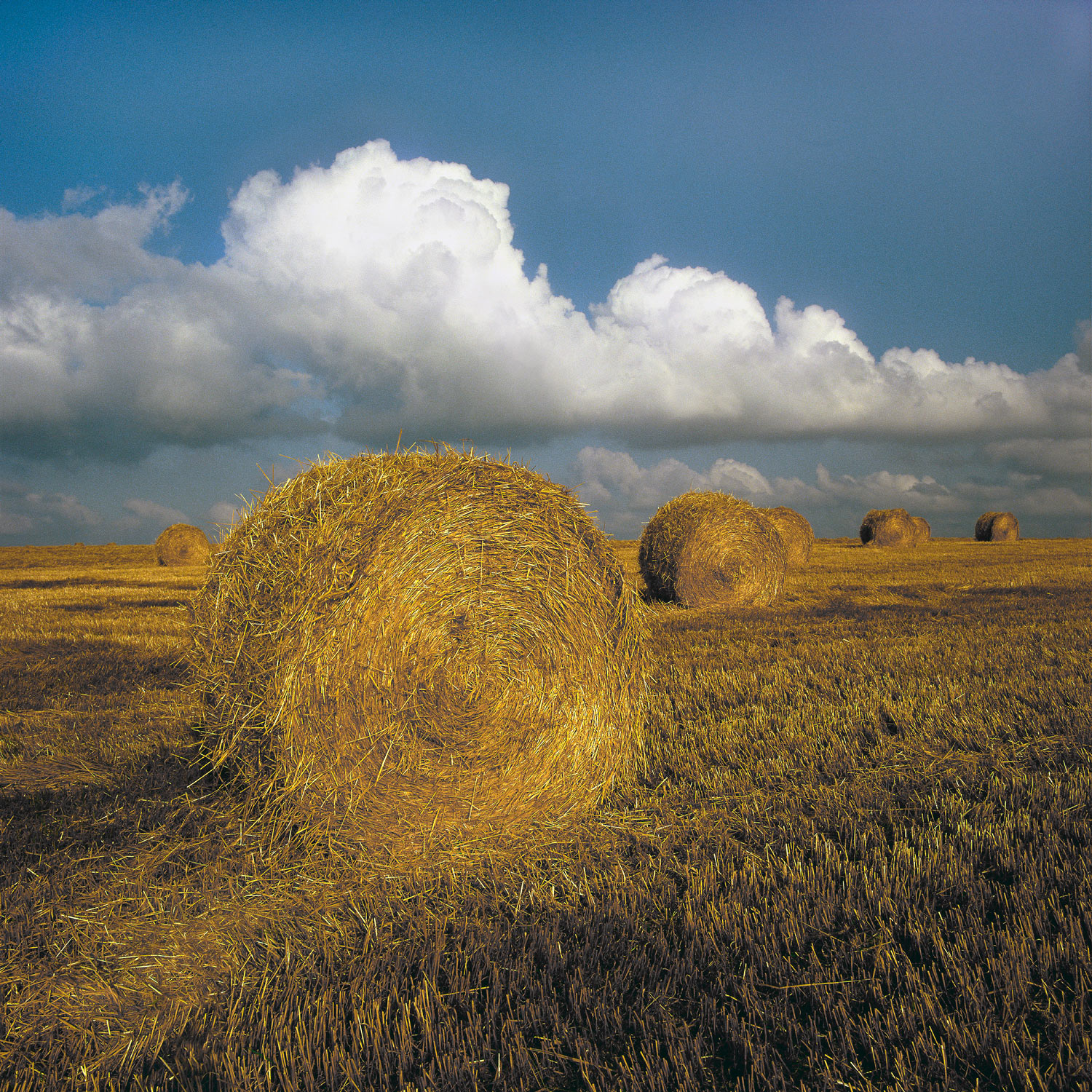 A straw-coloured field with four hay bales in, the white clouds and blue sky sitting above.