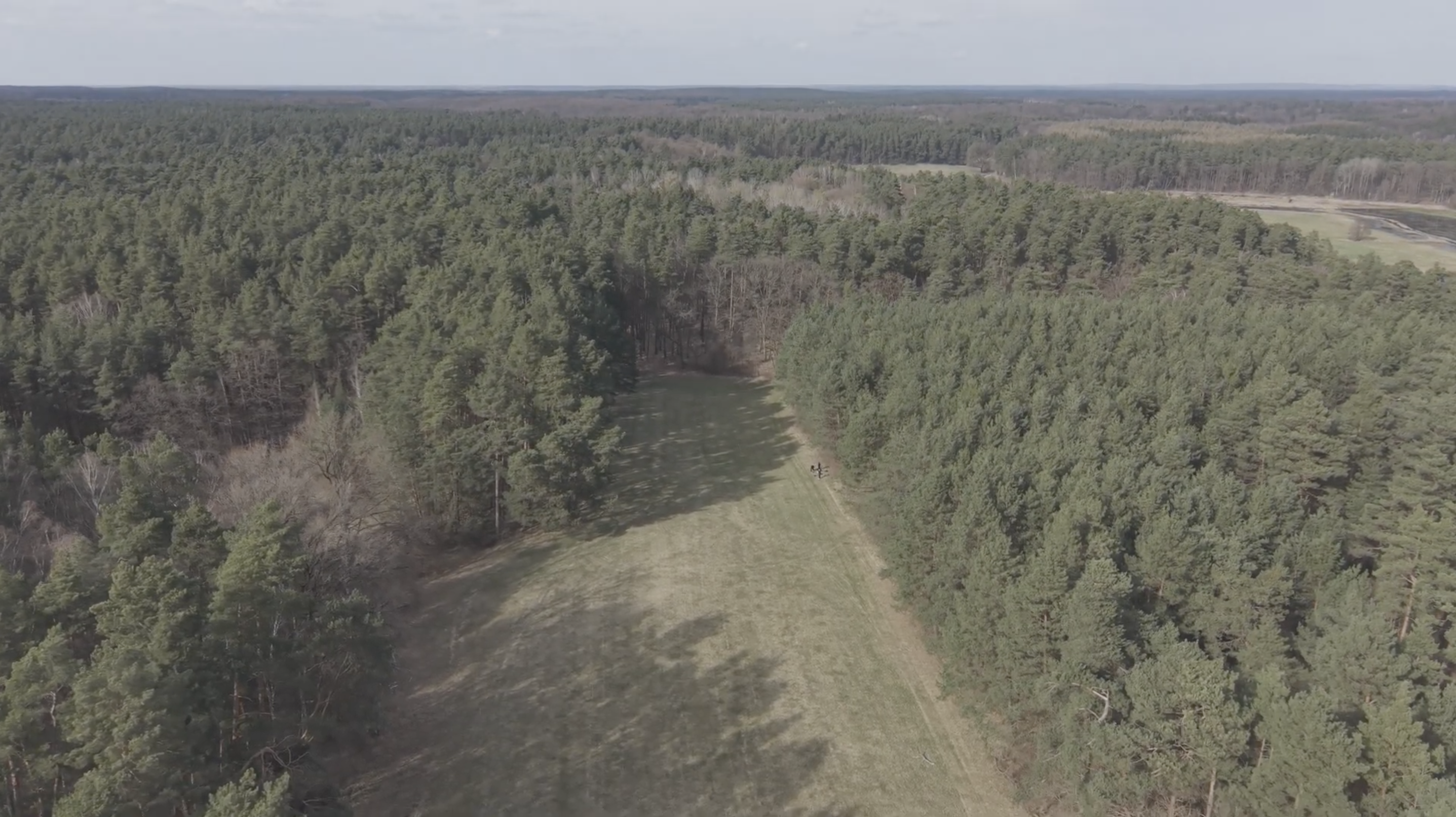 DJI Mini 5 Pro filma a partir de um plano de cima a floresta que envolve uma zona descampada.