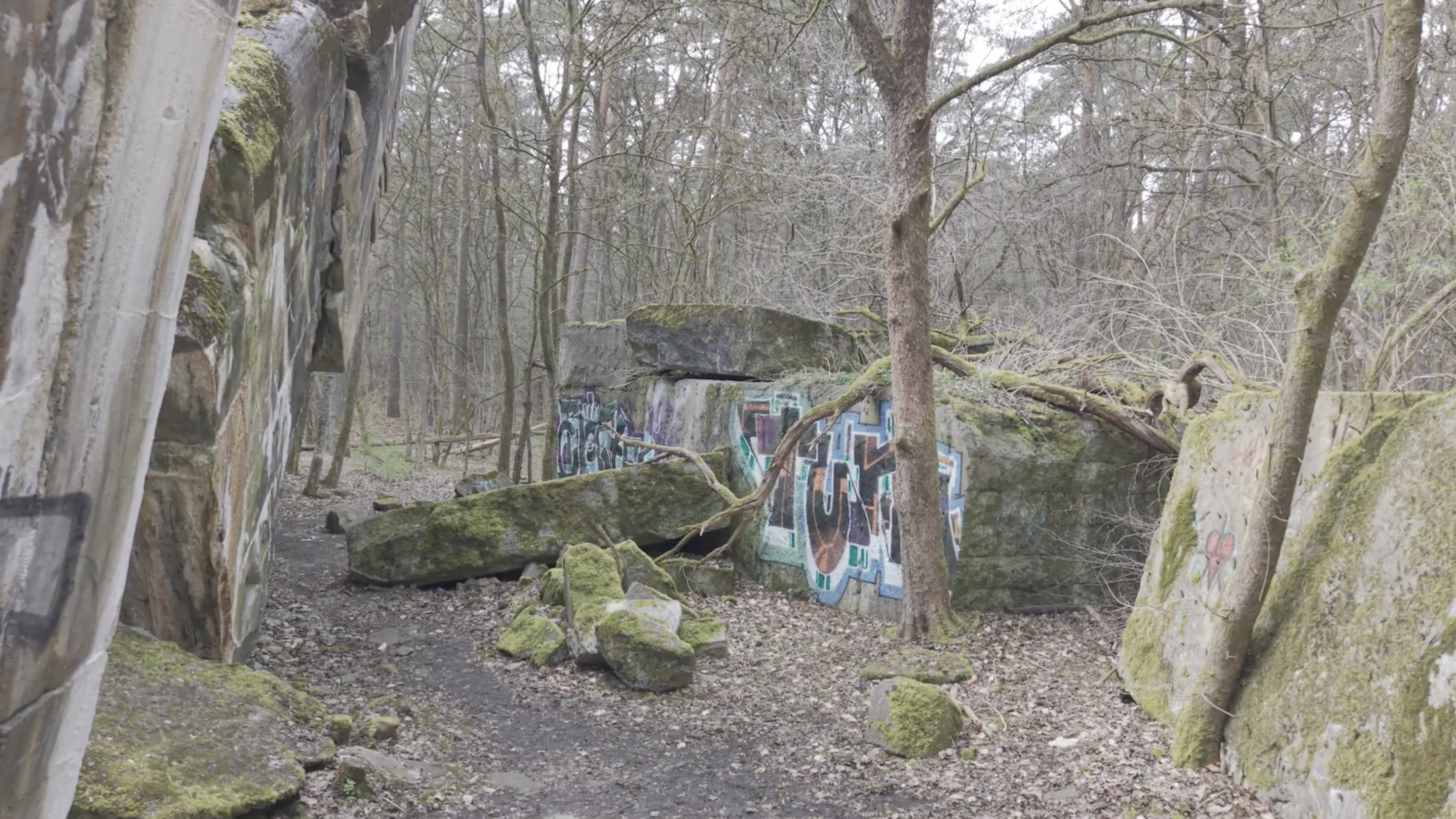 Zona florestal que rodeia o Bunker Koralle, rochas com verdume e arvores despidas de folhas.
