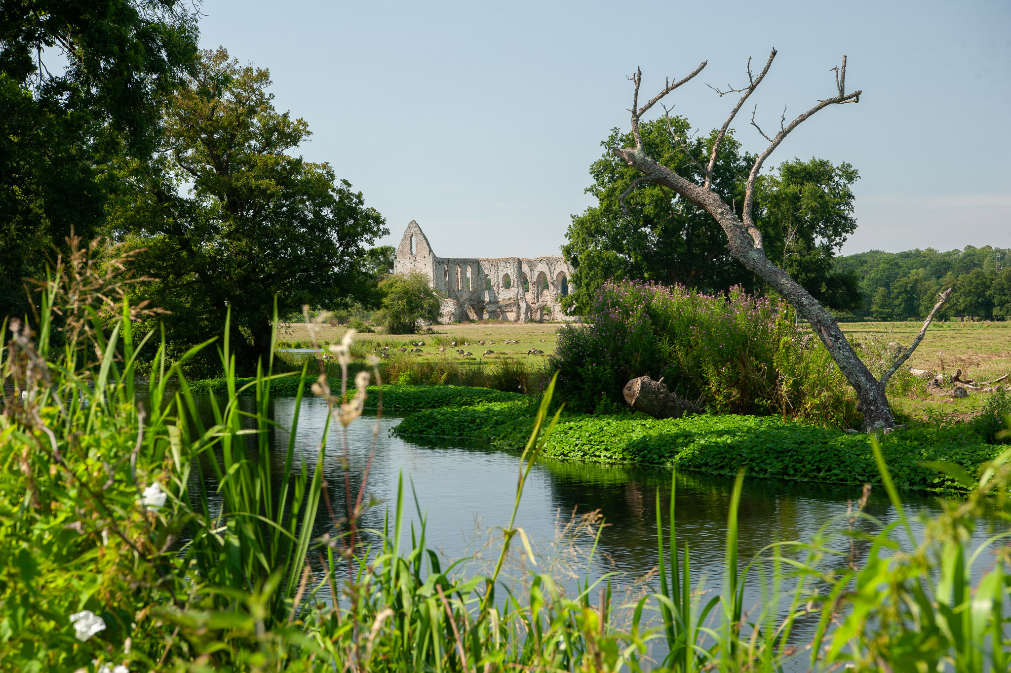 Nikon D700 resolution test 