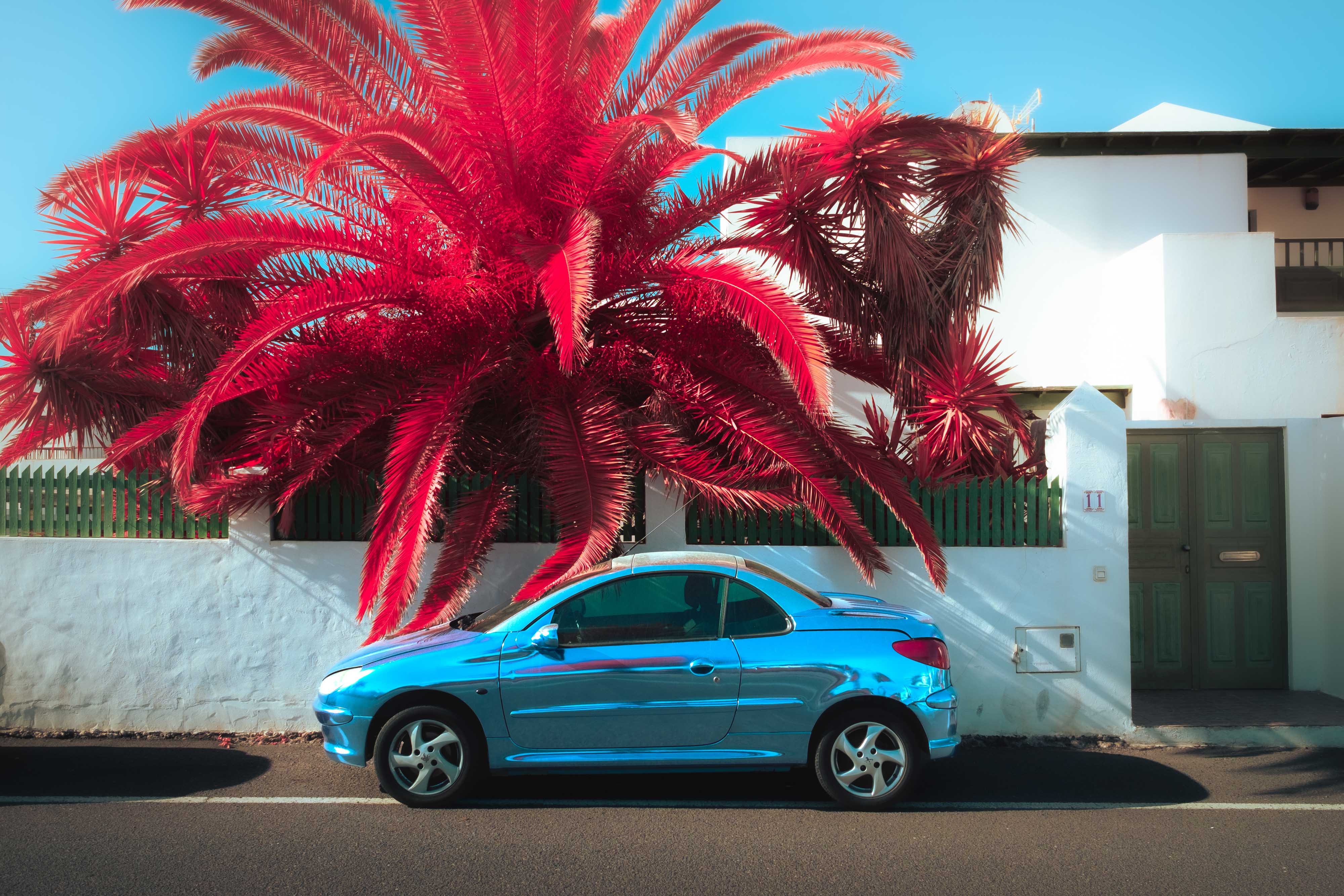 An infrared photo of a shiny metallic car in front of a wall under a bright pink tree in Lanzarote