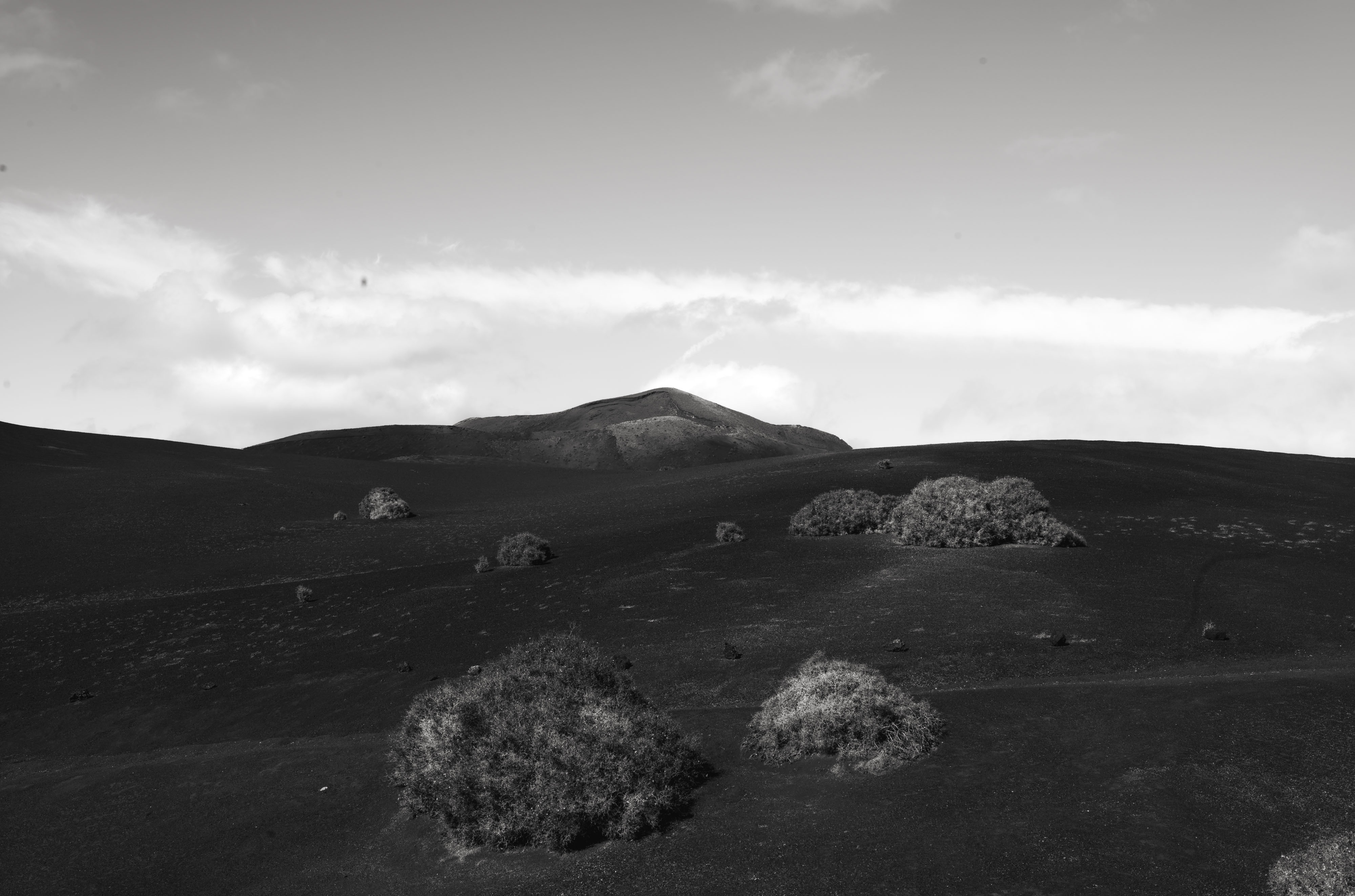 Une photo en noir et blanc d'une colline de broussailles avec un ciel pâle au-dessus, prise avec un Leica M10 Monochrom.