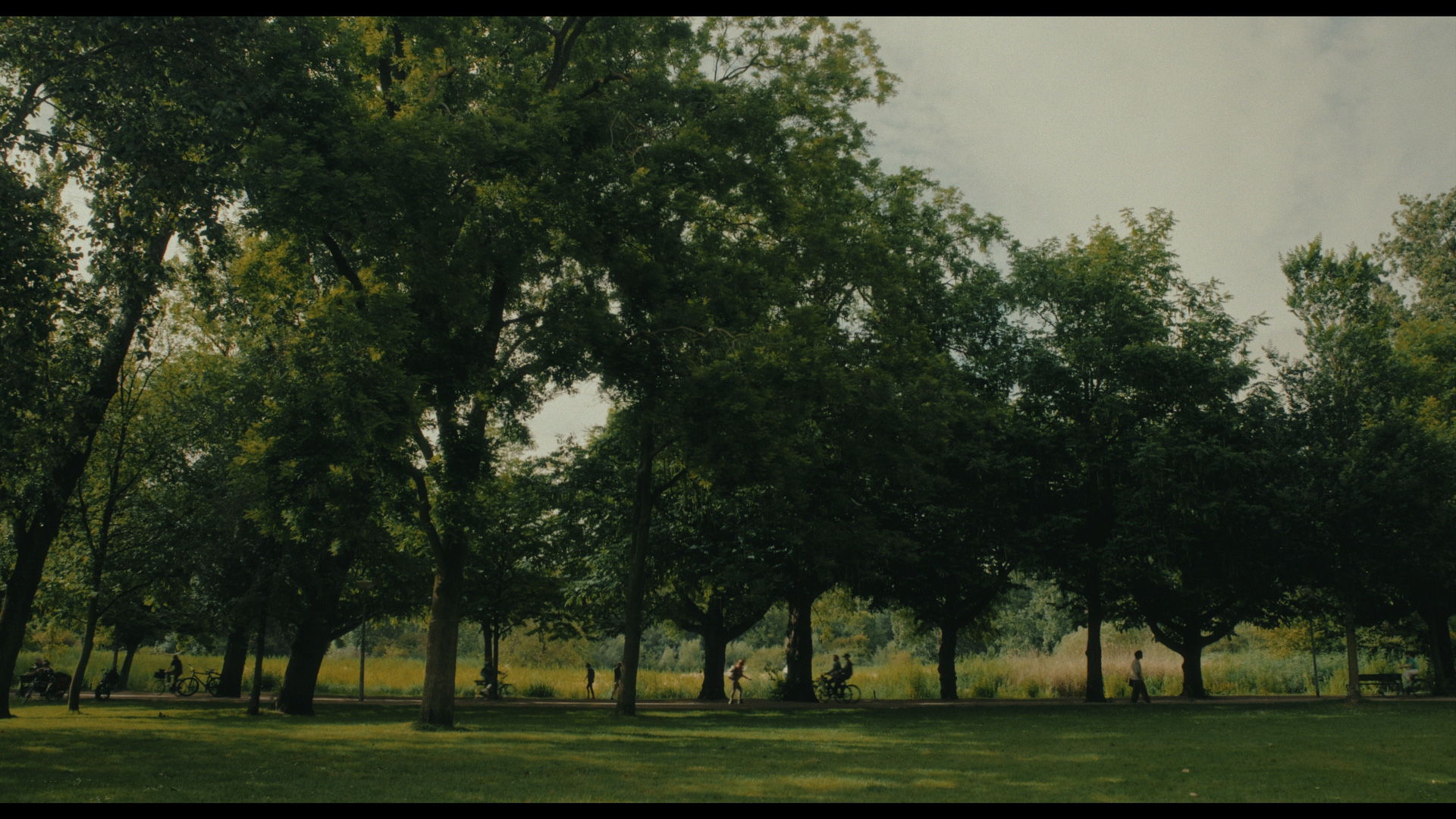 A group of people stroll and bike along a paved path winding through a lush green park filled with dense trees.