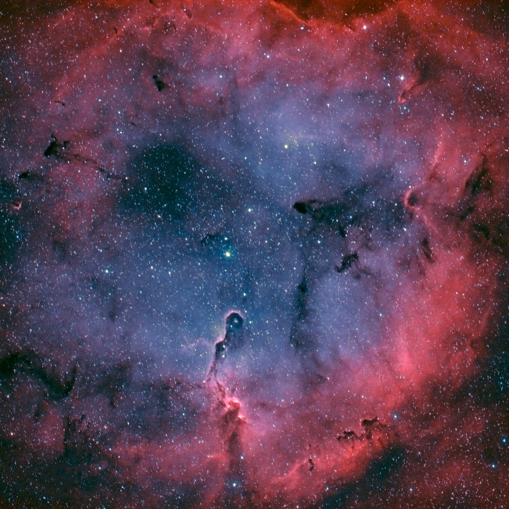 IC1396/The elephant trunk nebula