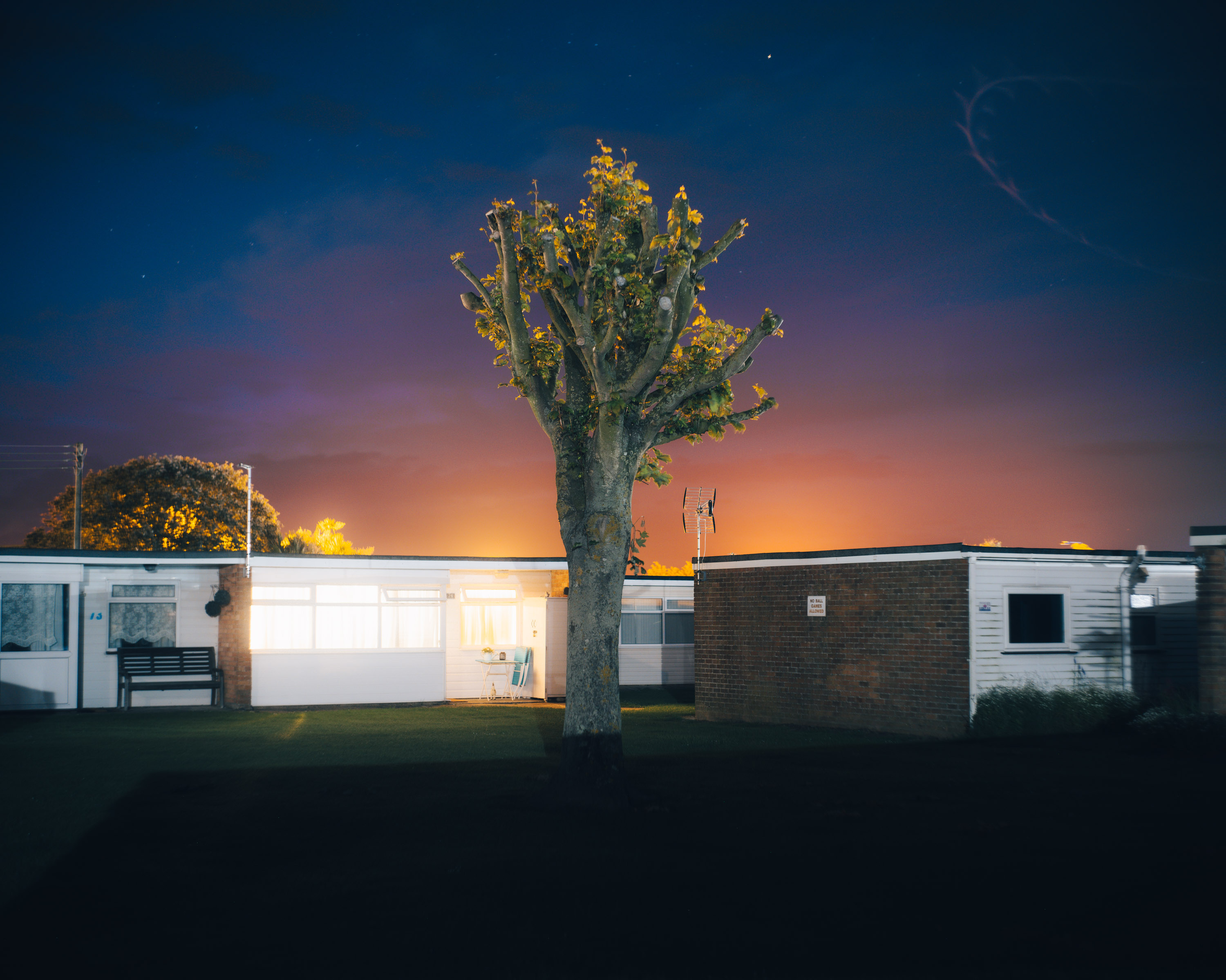 
A long exposure shot at night of a tree that has had its branches clipped. Bungalows in the background. Taken on the Fujifilm GFX 50R by ian Howorth. 

