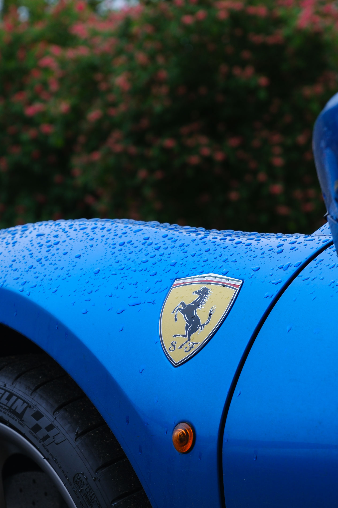 A close-up of a Ferrari badge on the side of a bright blue sports car, by Amy Moore with a Fujifilm X-T50