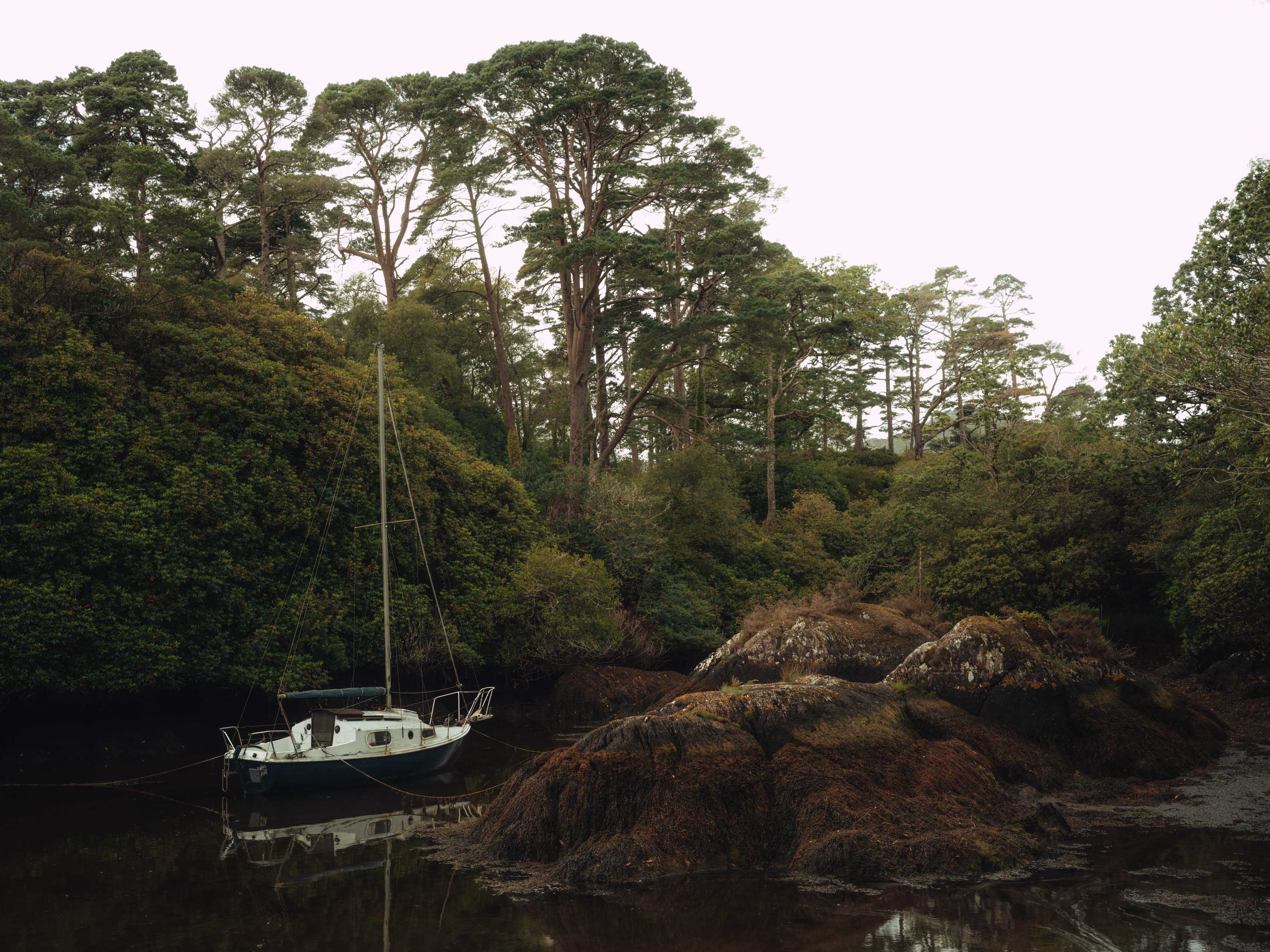 Ein Boot, das auf einem See neben einigen Bäumen vertäut ist, fotografiert von Ian Howorth mit einer Hasselblad X2D 100C