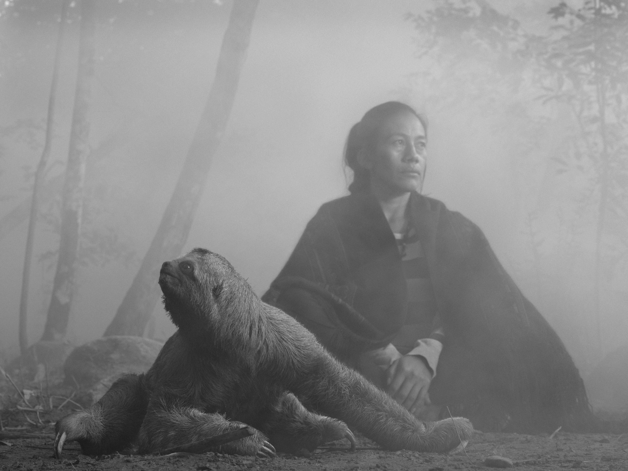 A black-and-white image of a sloth sitting on the ground in front of a person sitting in the woods 
