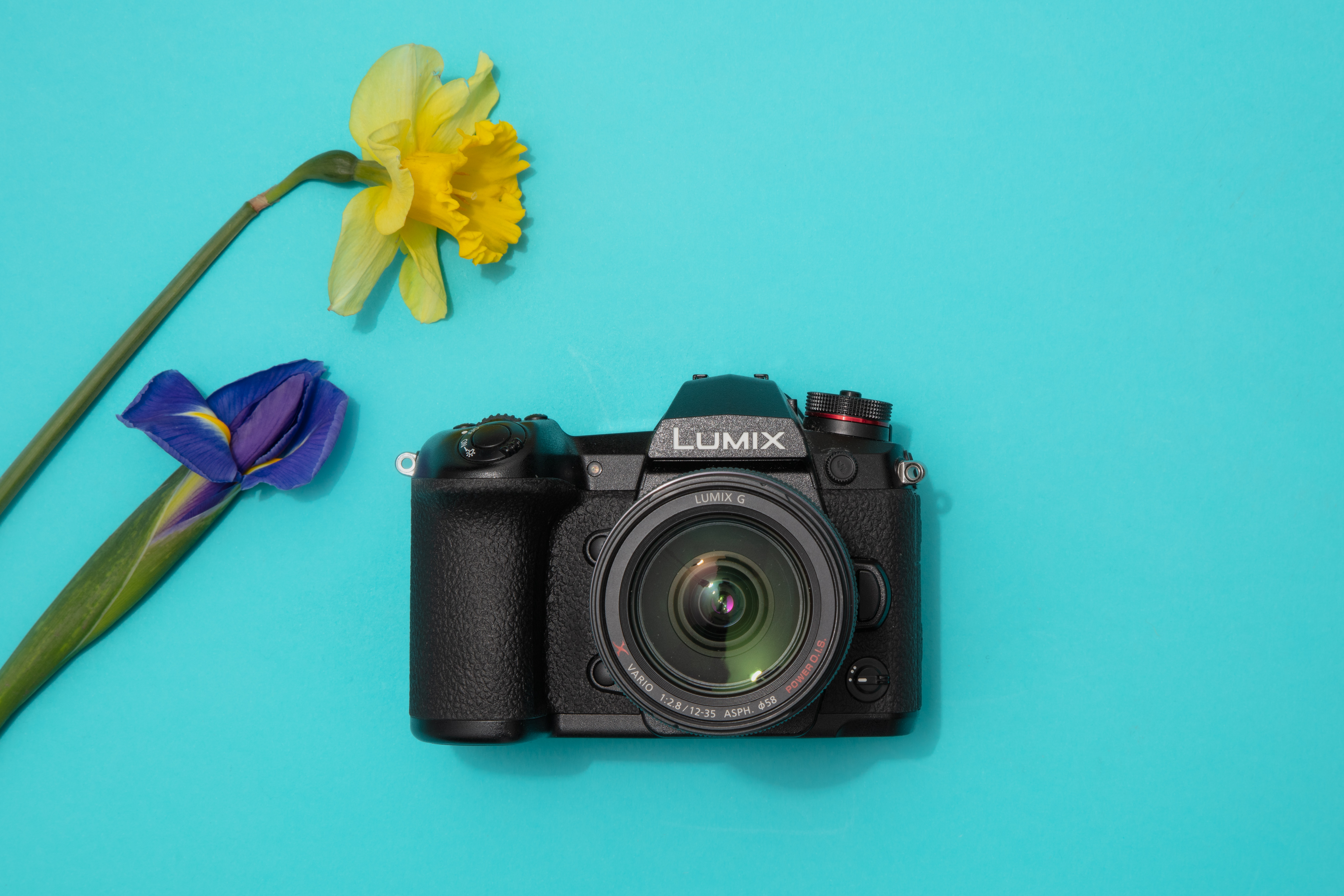 Sony a7 family gifting