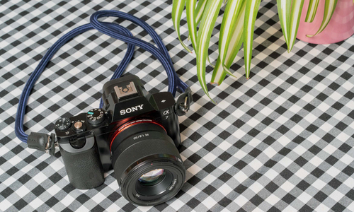 Sony a7 family gifting