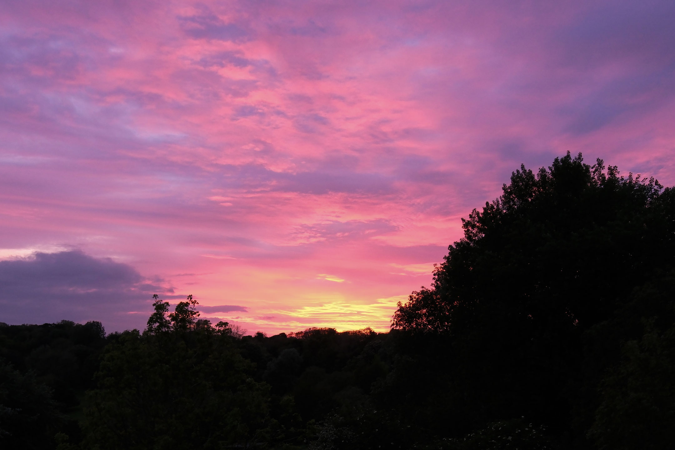 A pink-purple sunset by Amy Moore with a Fujifilm X-T50