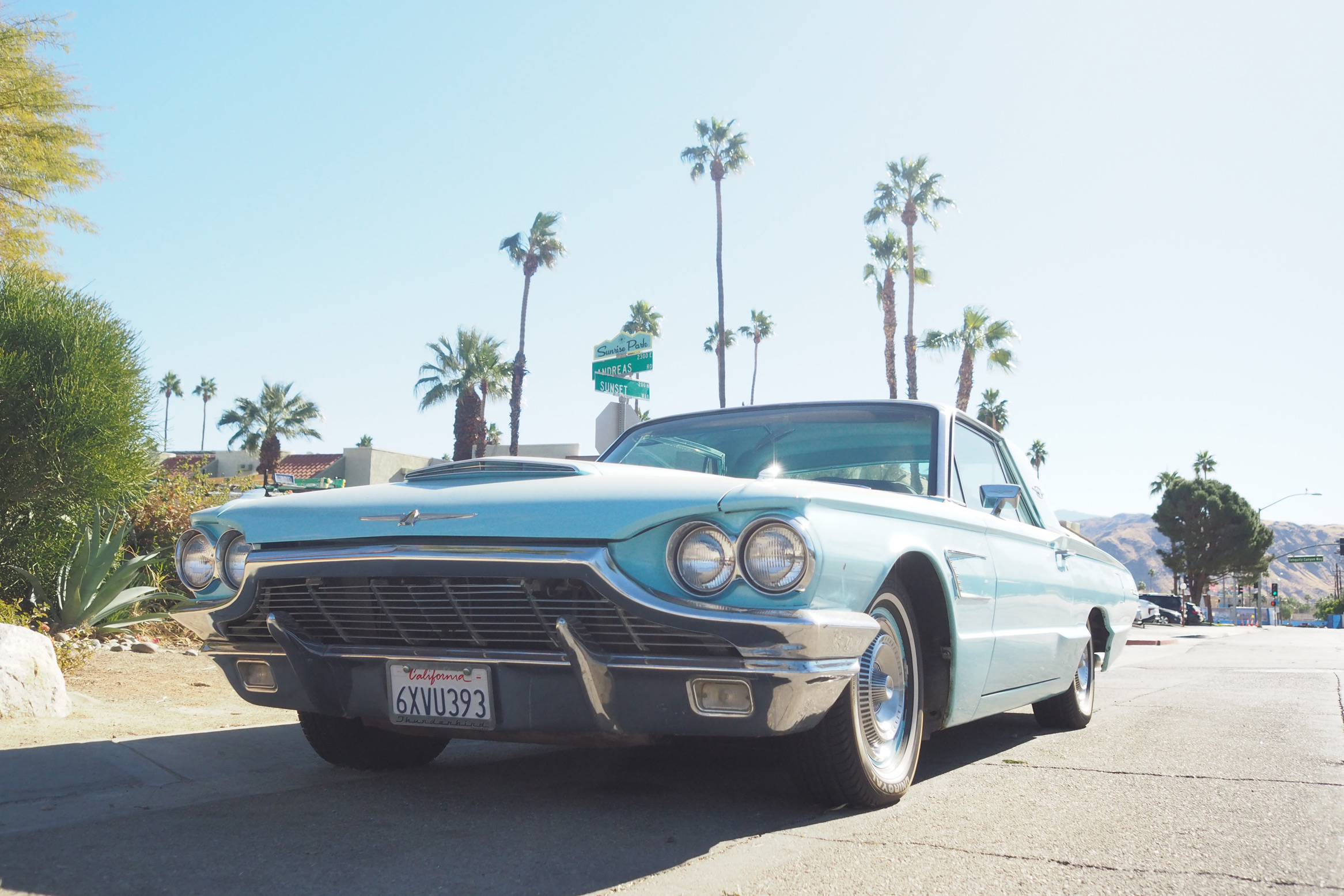 Oude schoolauto in Californië met palmbomen en een heldere achtergrond, gefotografeerd met een Olympus Pen-F door Justin Patricolo.