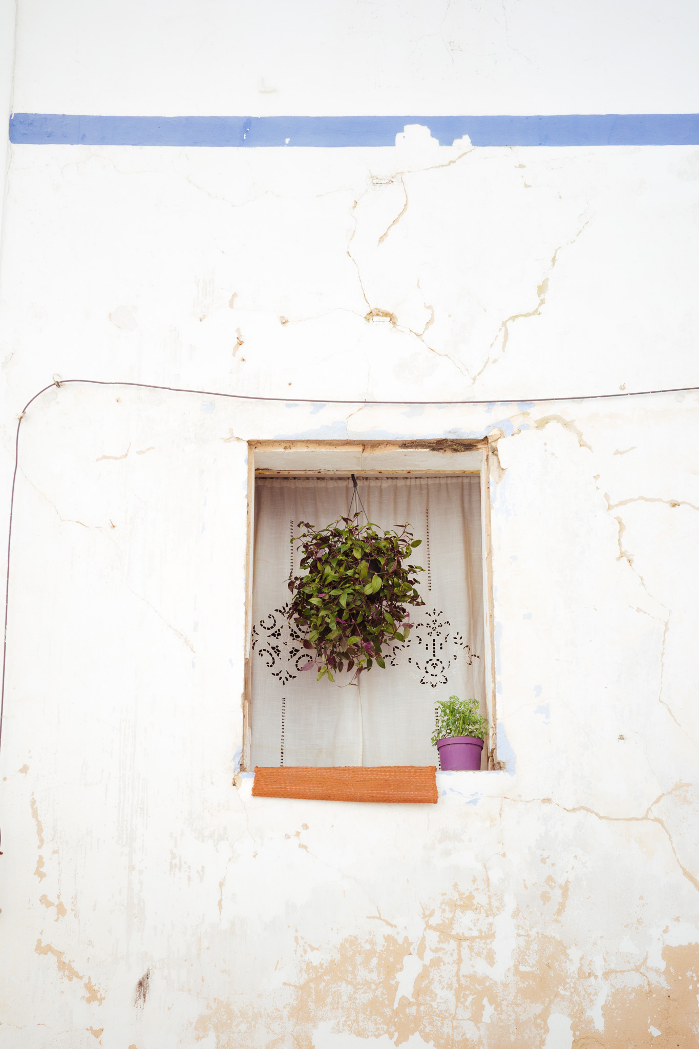 A window within a wall with a hanging plant in the middle in Albufeira, Portugal. By Connor Redmond.